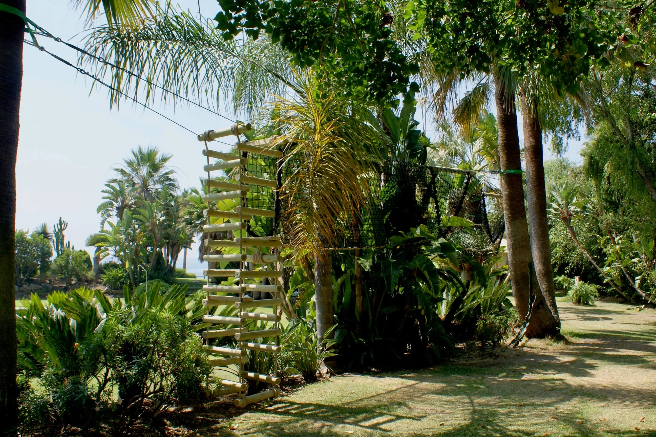 Rope Ladder and Tree Walkway in palm trees