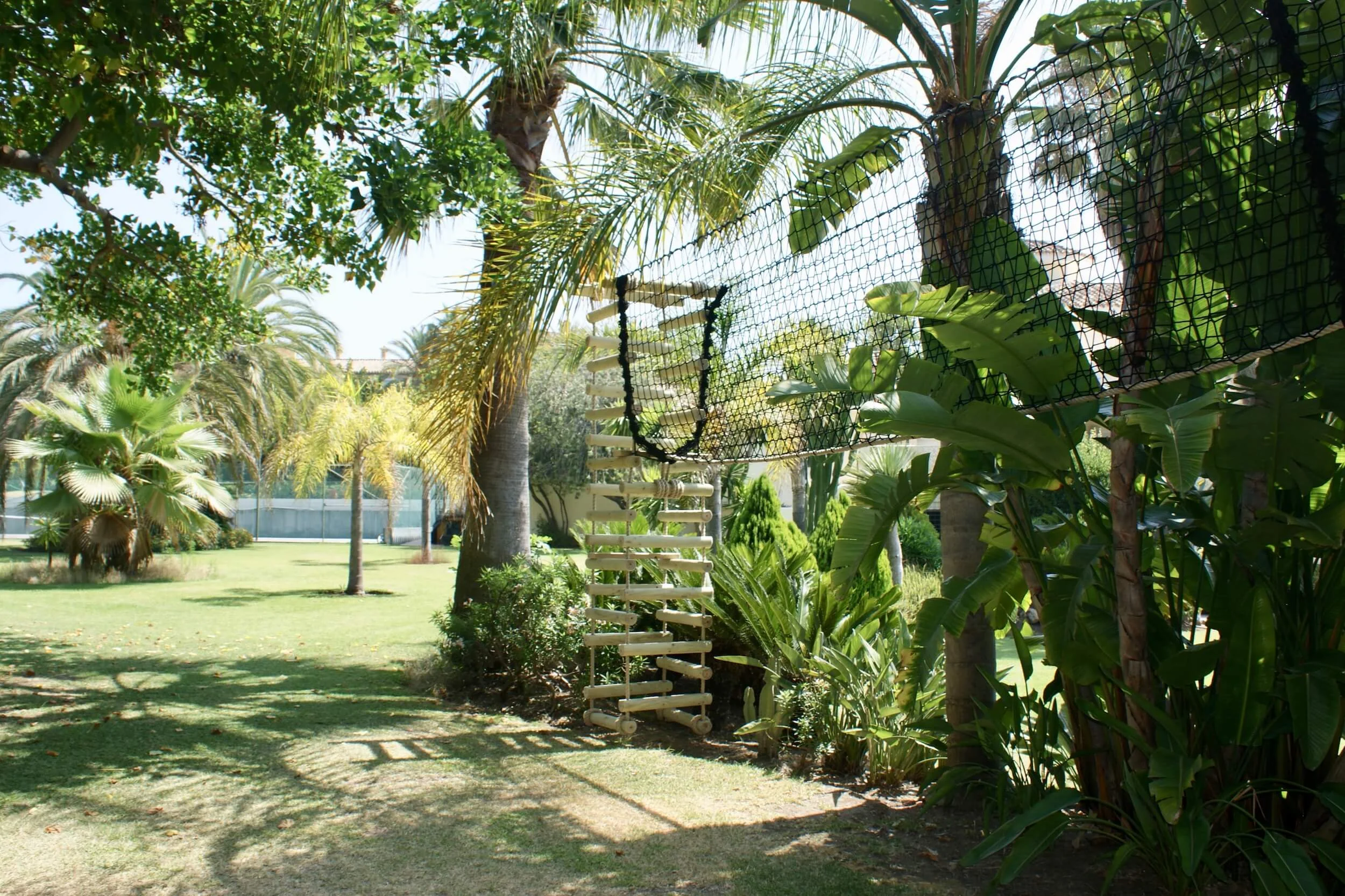 Netted palm tree bridge and Rope Ladder