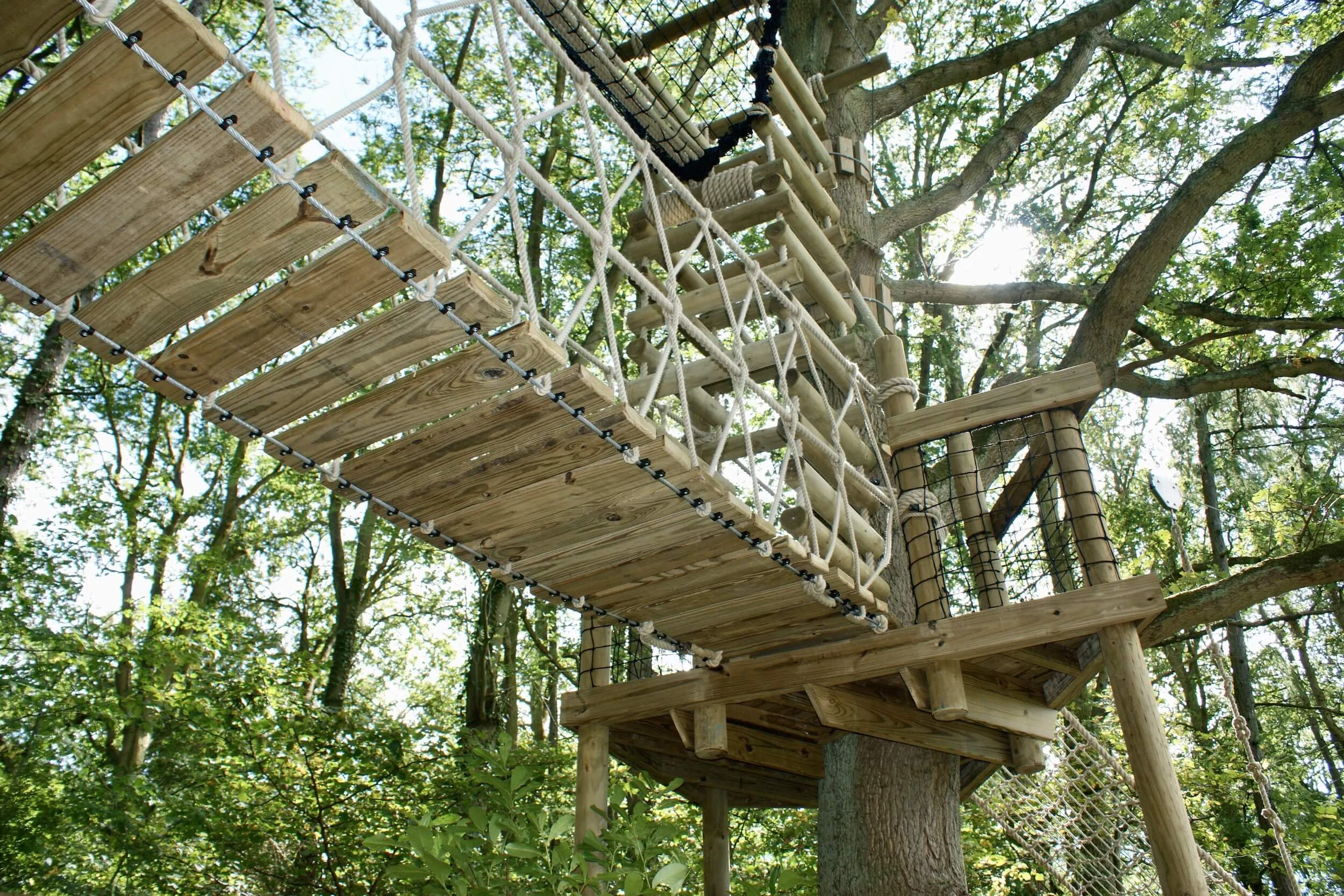 Tree Deck Rope and Hammock Bridge
