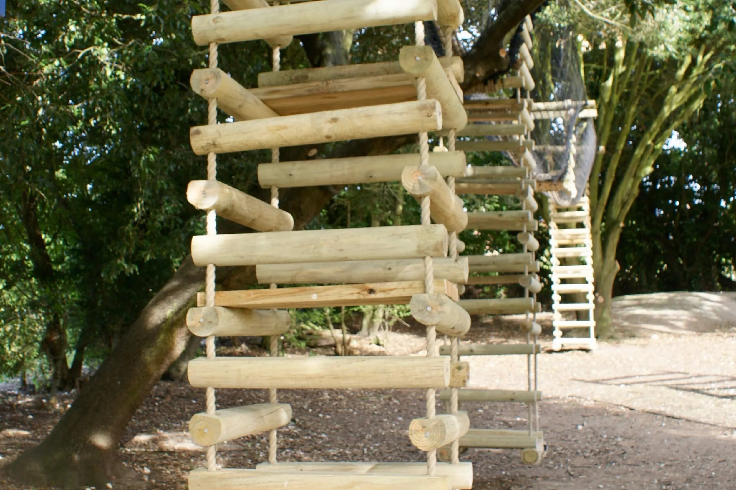 Rope Ladders and Tree-top Walkway