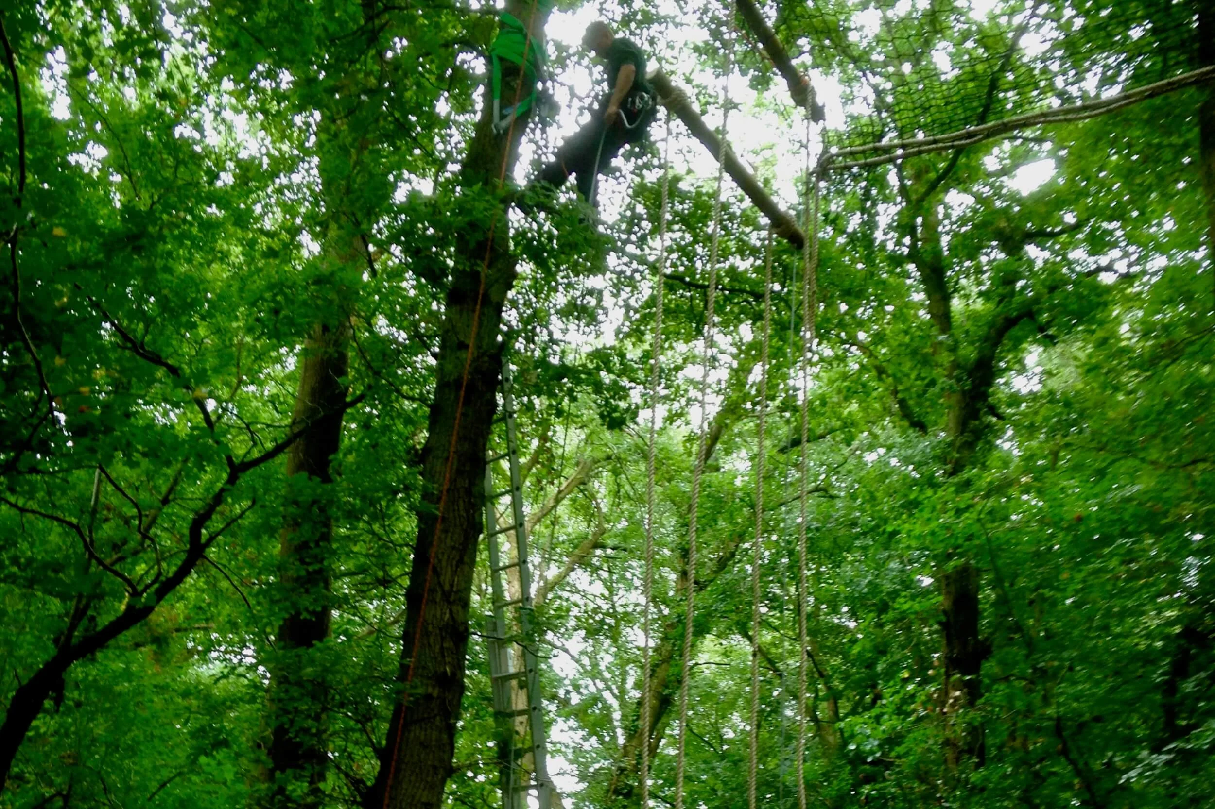 Setting ropes for suspended Rope Ladder