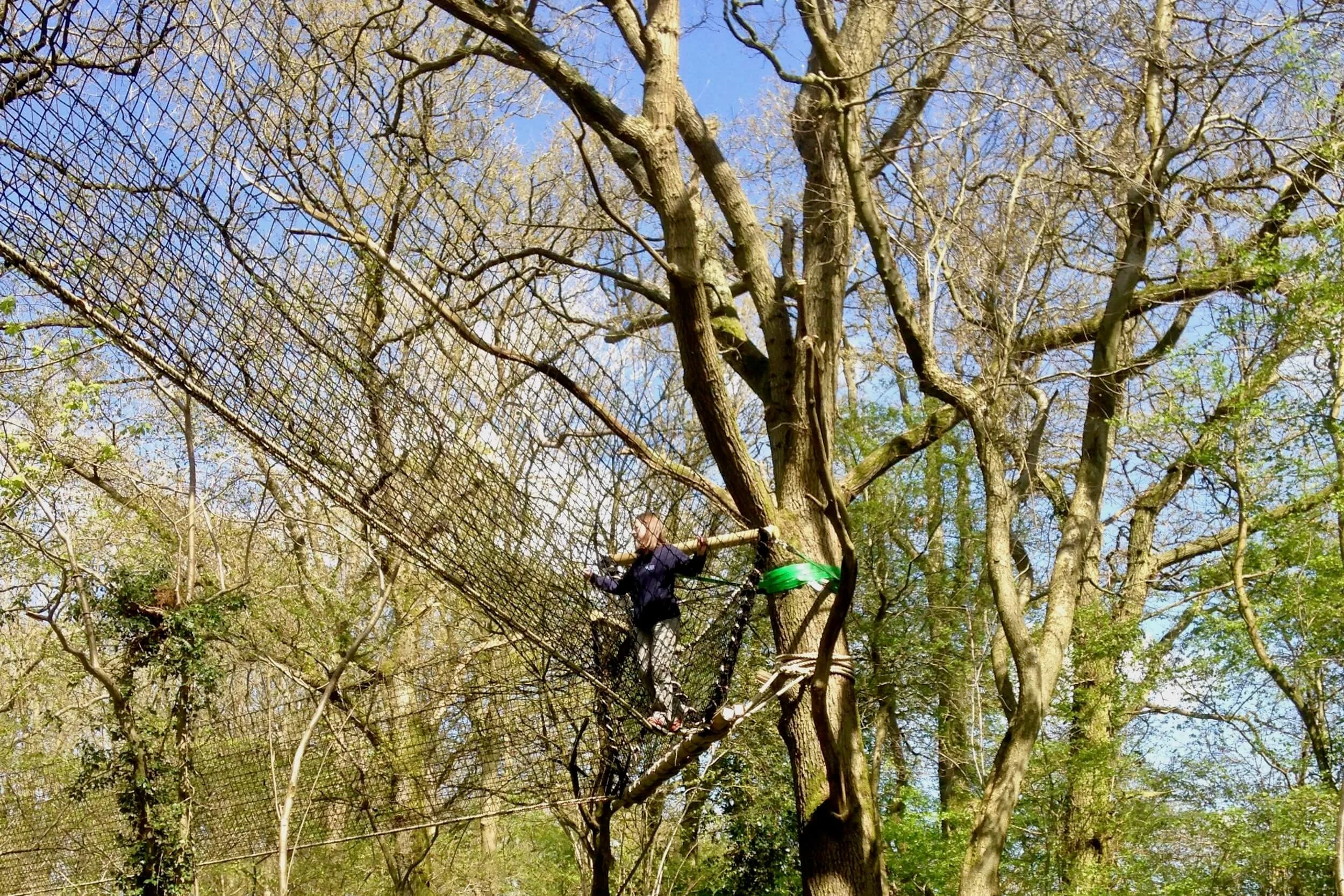 Walking in the Tree-top Walkway