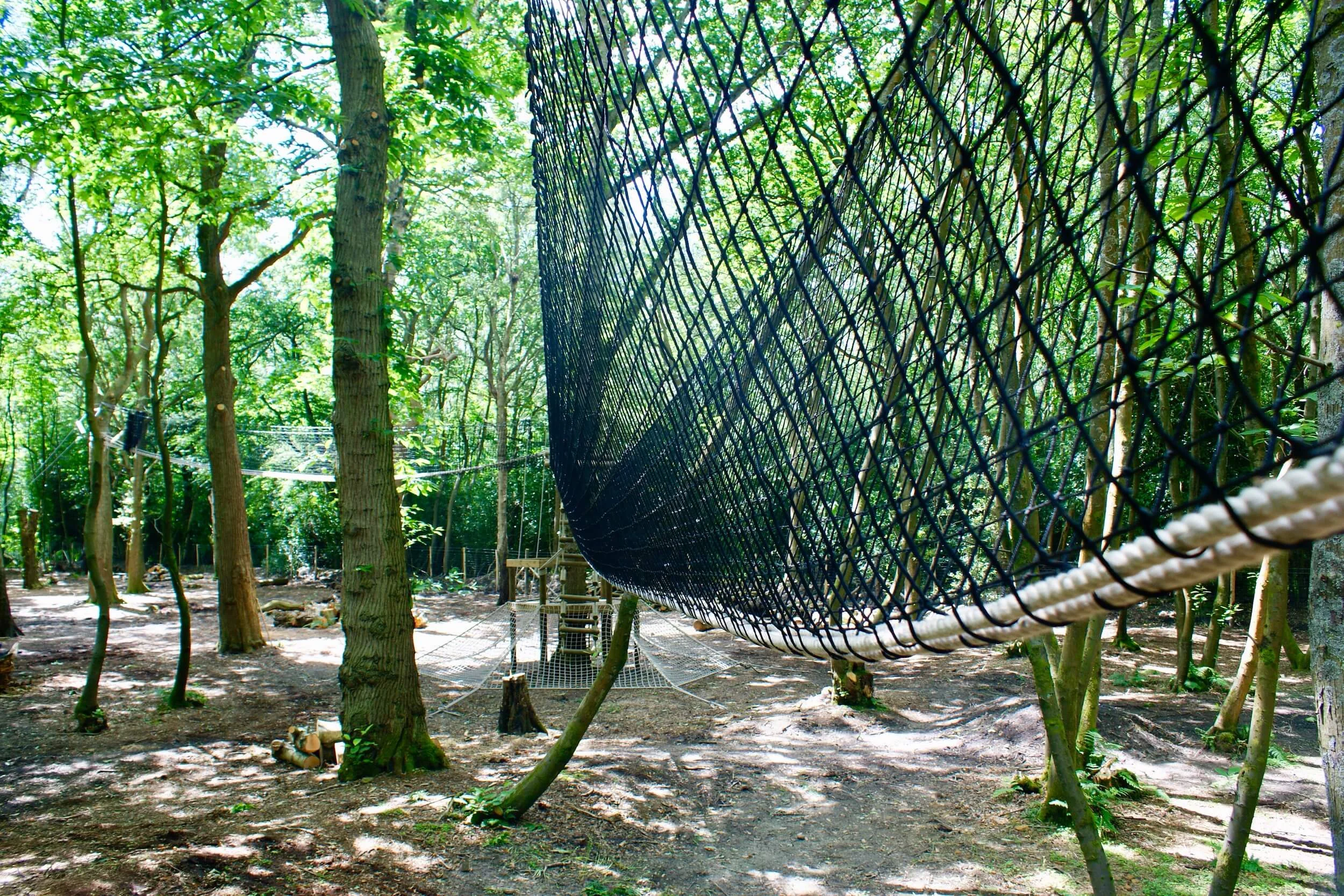 Tree-top Walkway adventure woodland