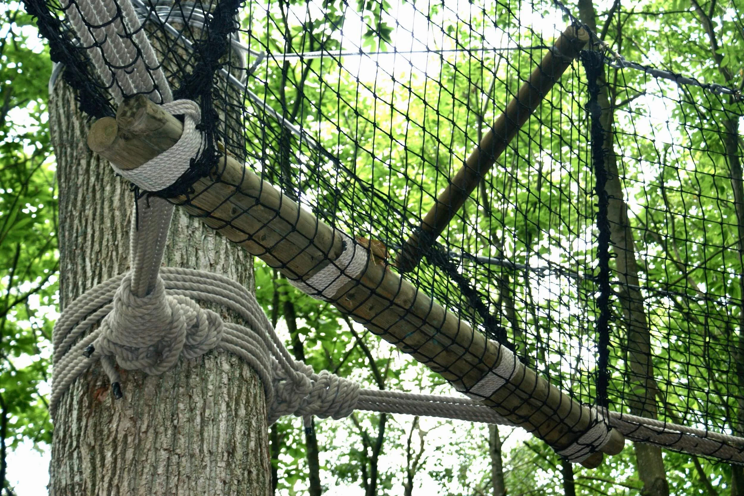 Log-beam Tree-top Walkway tree platform