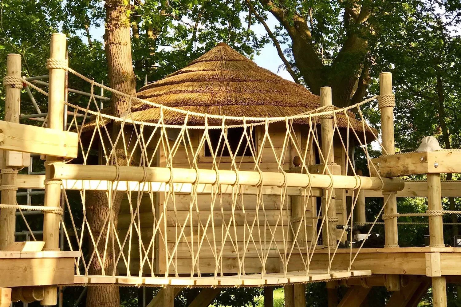 Fixed-Beam-Rope-Bridge-treehouse.jpg