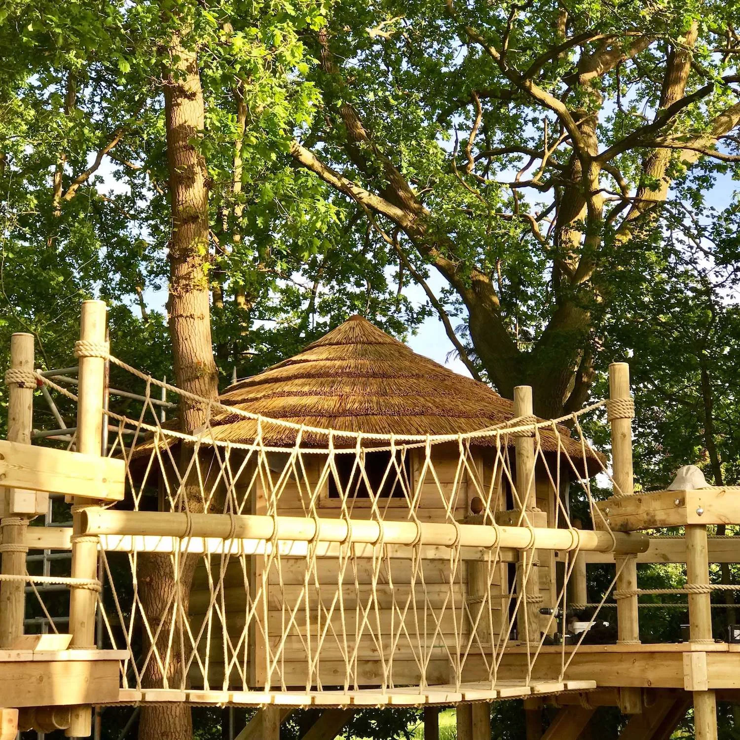 "...beautiful treehouse fixed-beam rope bridge"