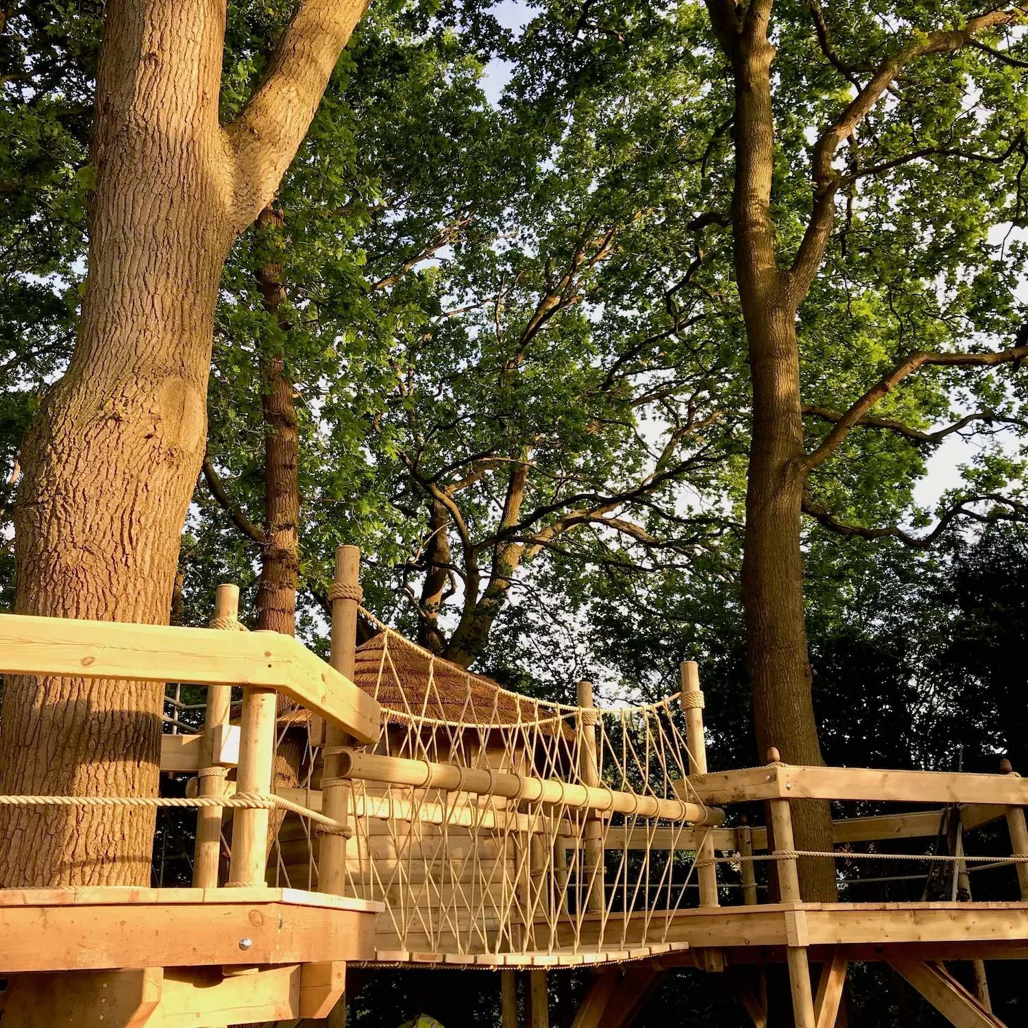 "...deck-to-deck rope bridge and treehouse"