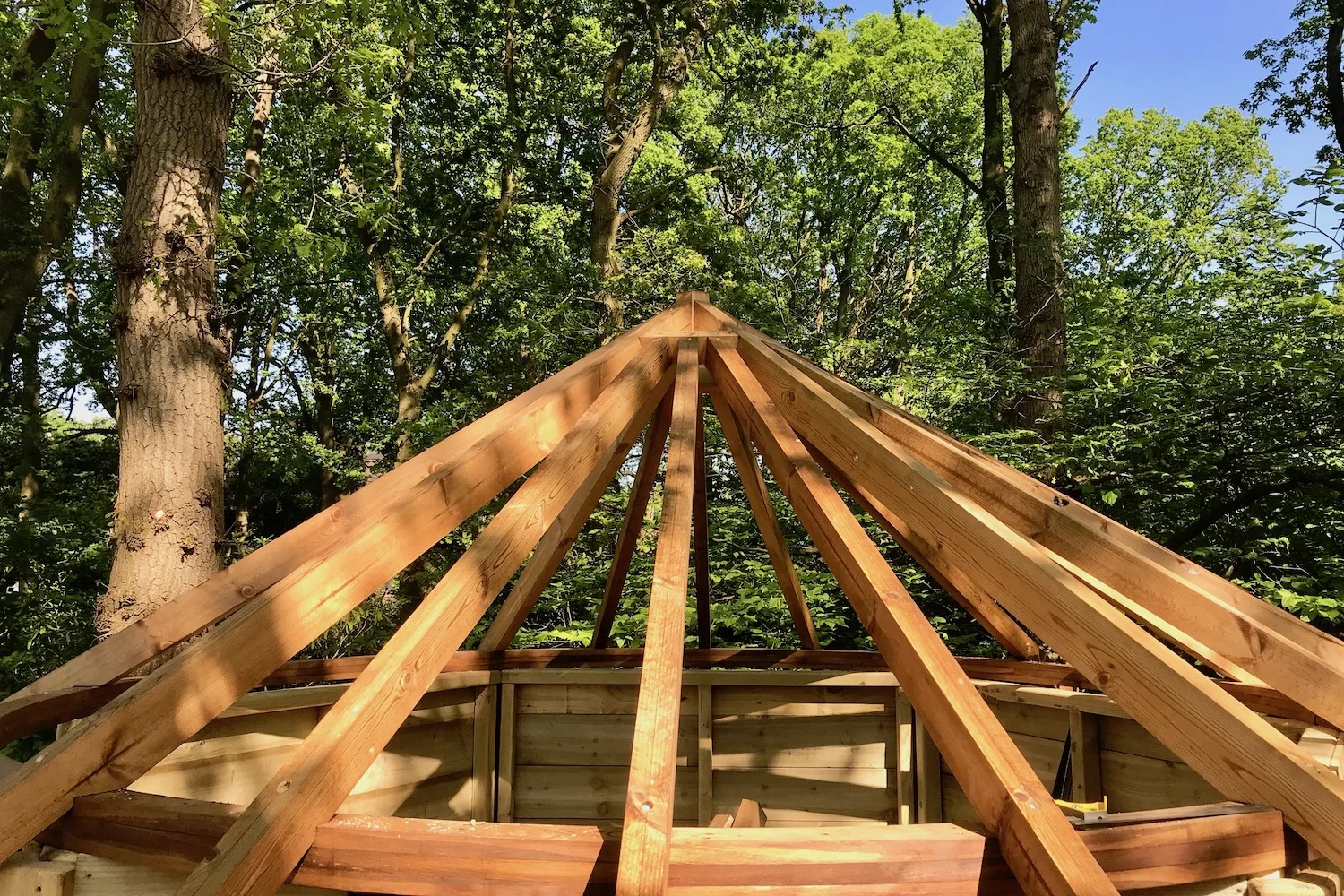 "...treehouse roof joists on circular ring beam"