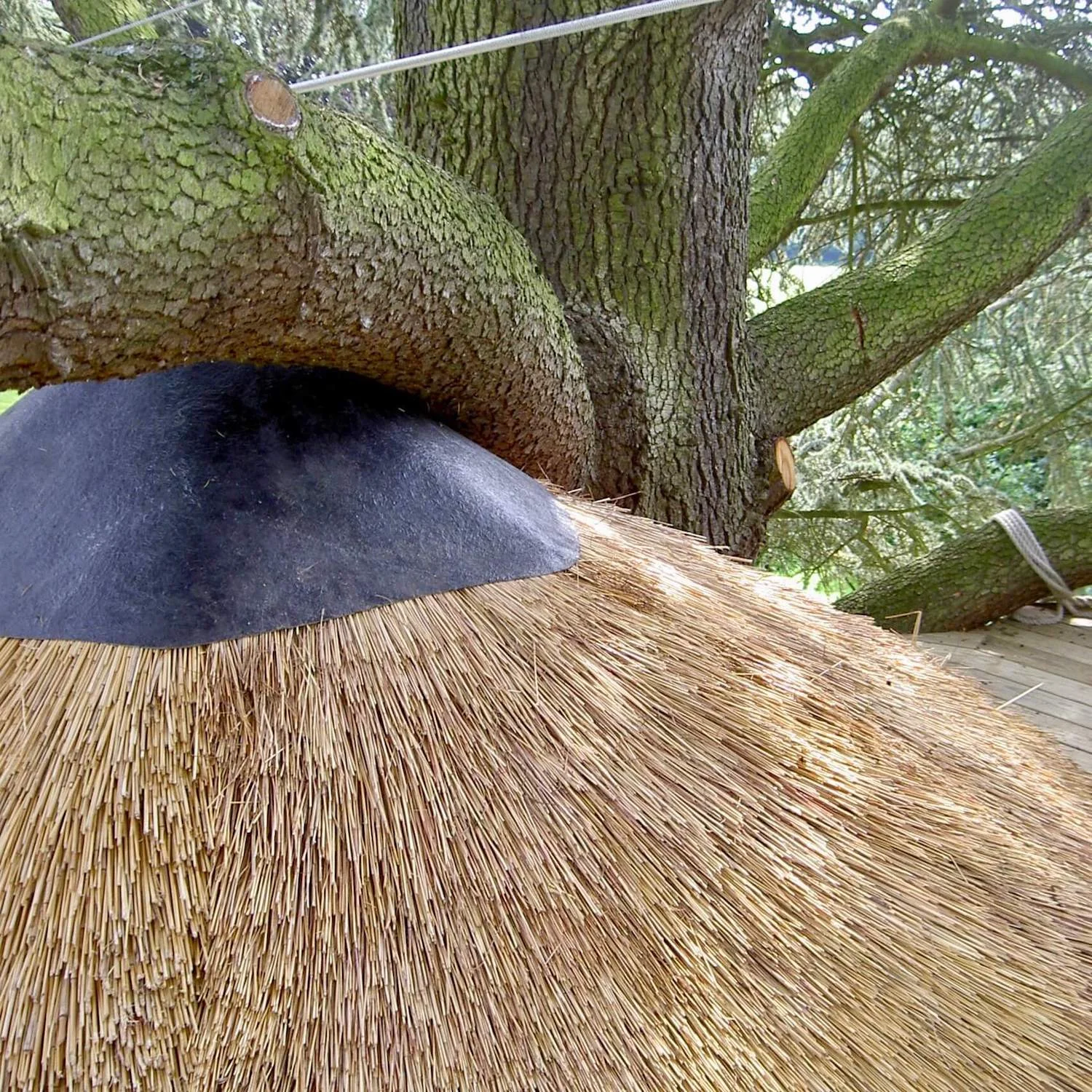 "...african thatch roof"