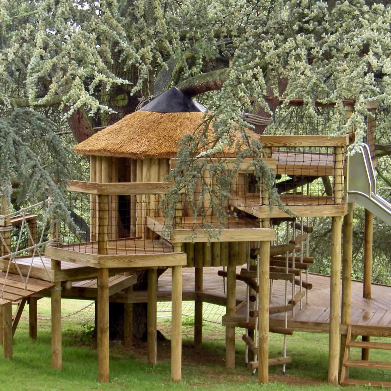 "...decks and platforms wrap treehouse"