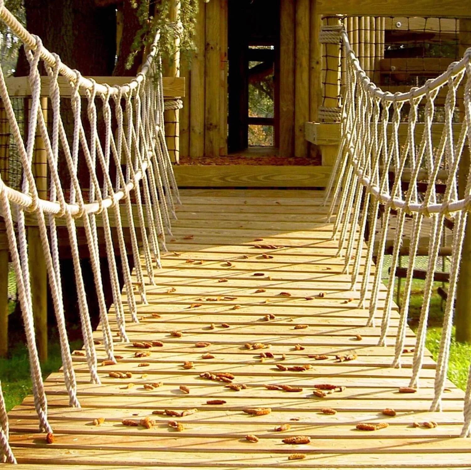 "...entrance rope bridge to treehouse"