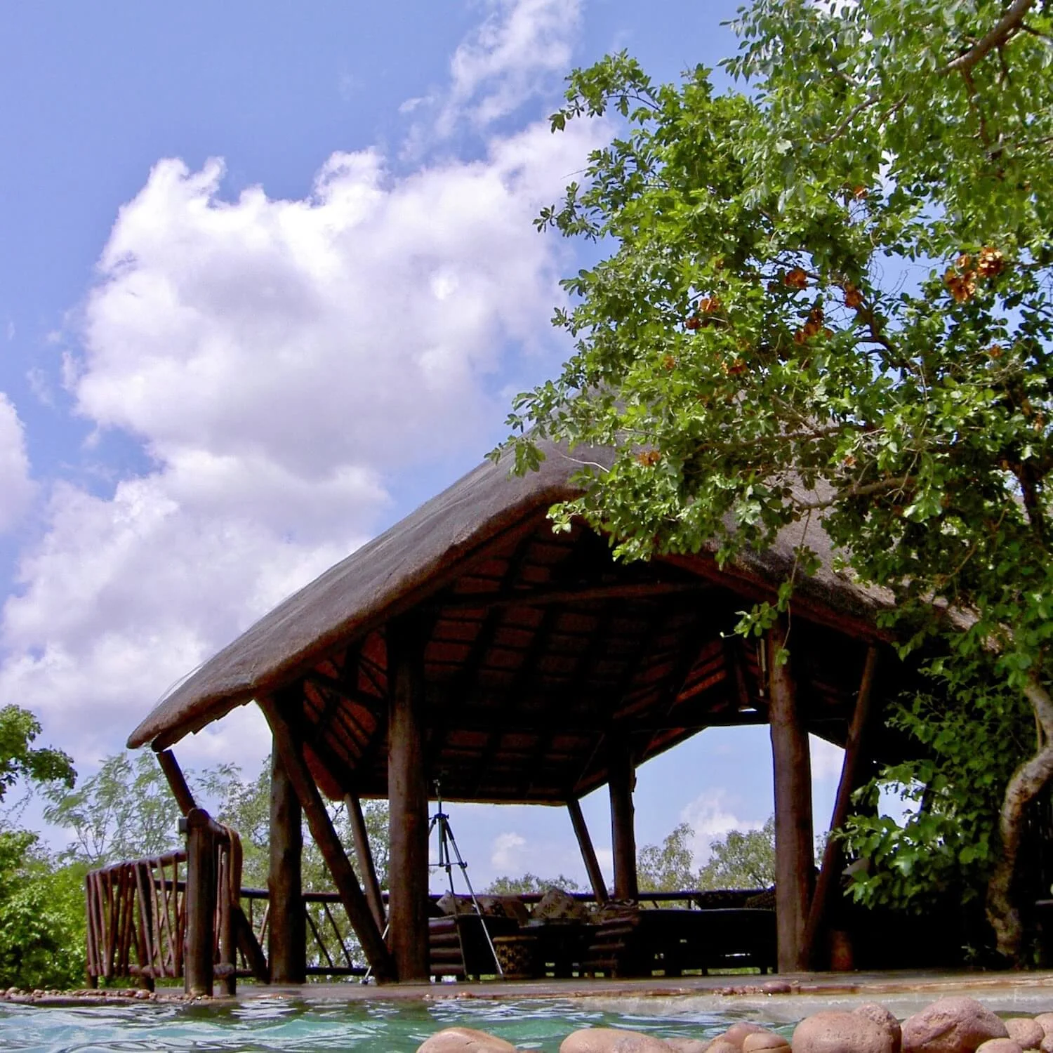 "...treehouse pool and outdoors lounge"