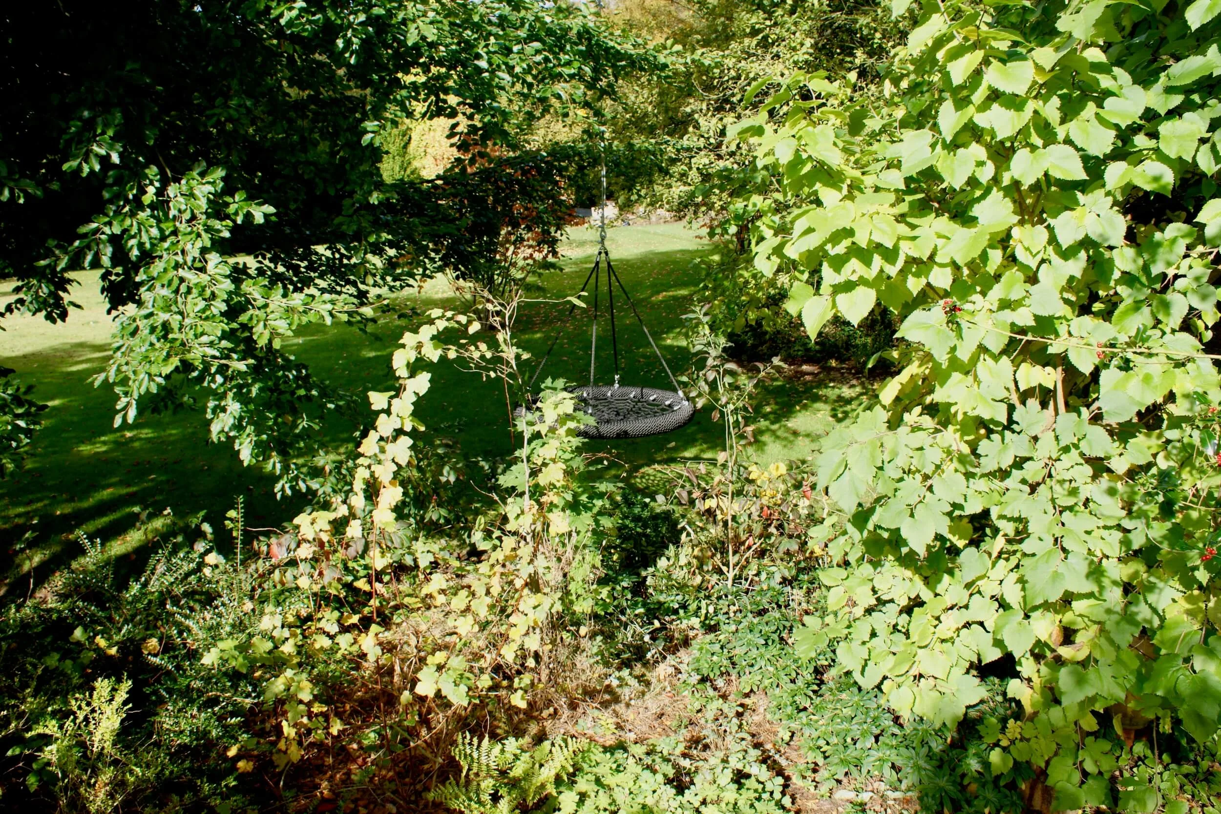 Garden Nest Swing.jpeg