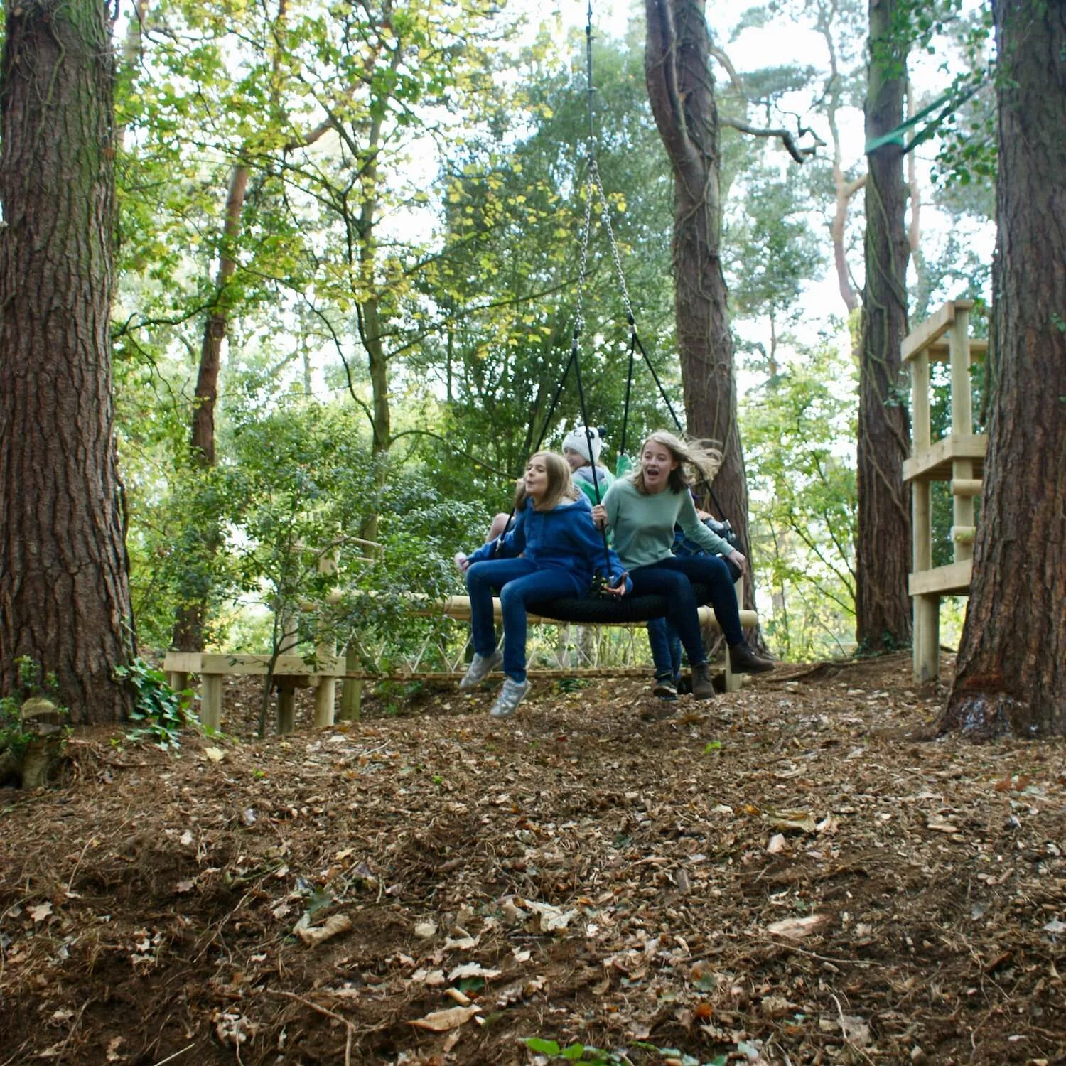 woodland-nest-swing.jpeg