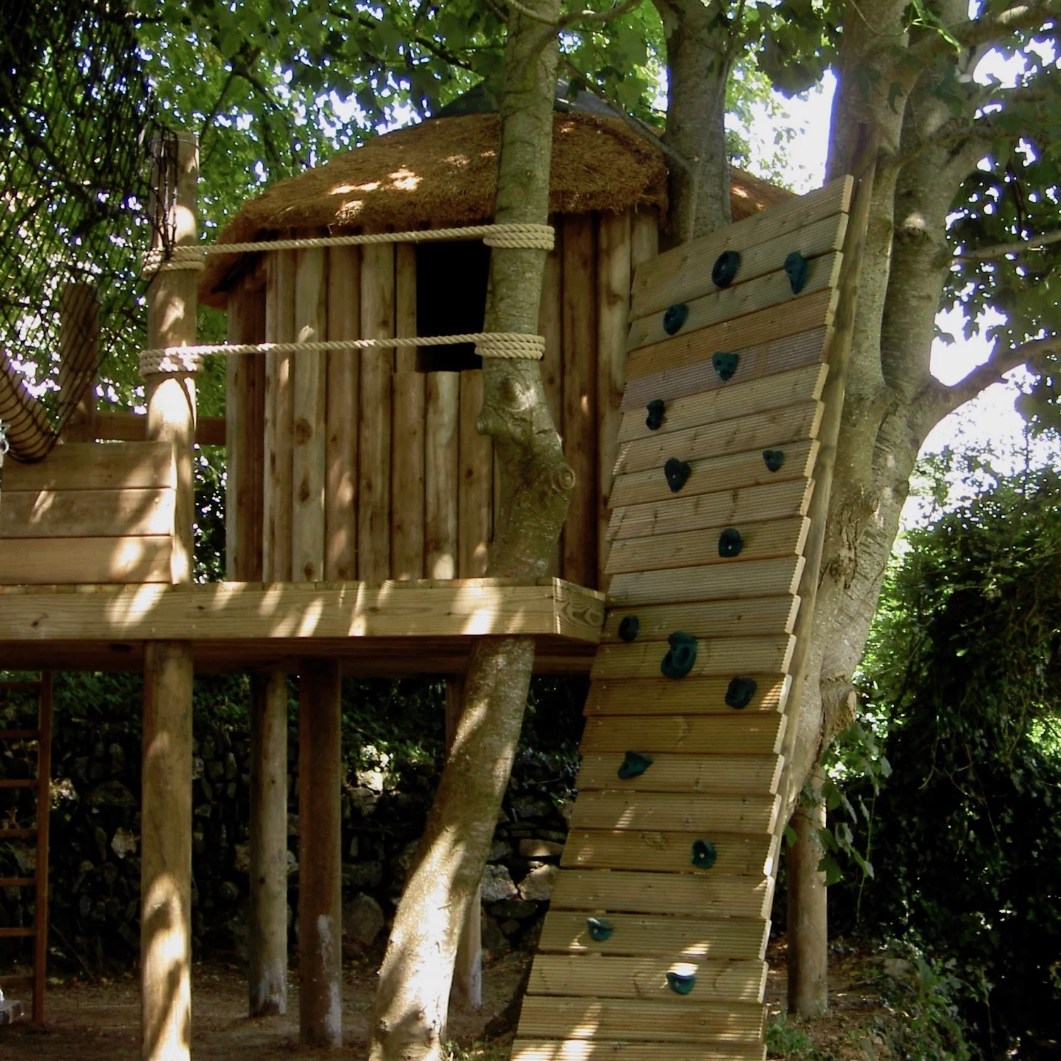 "...bespoke climbing wall wrapping a tree"