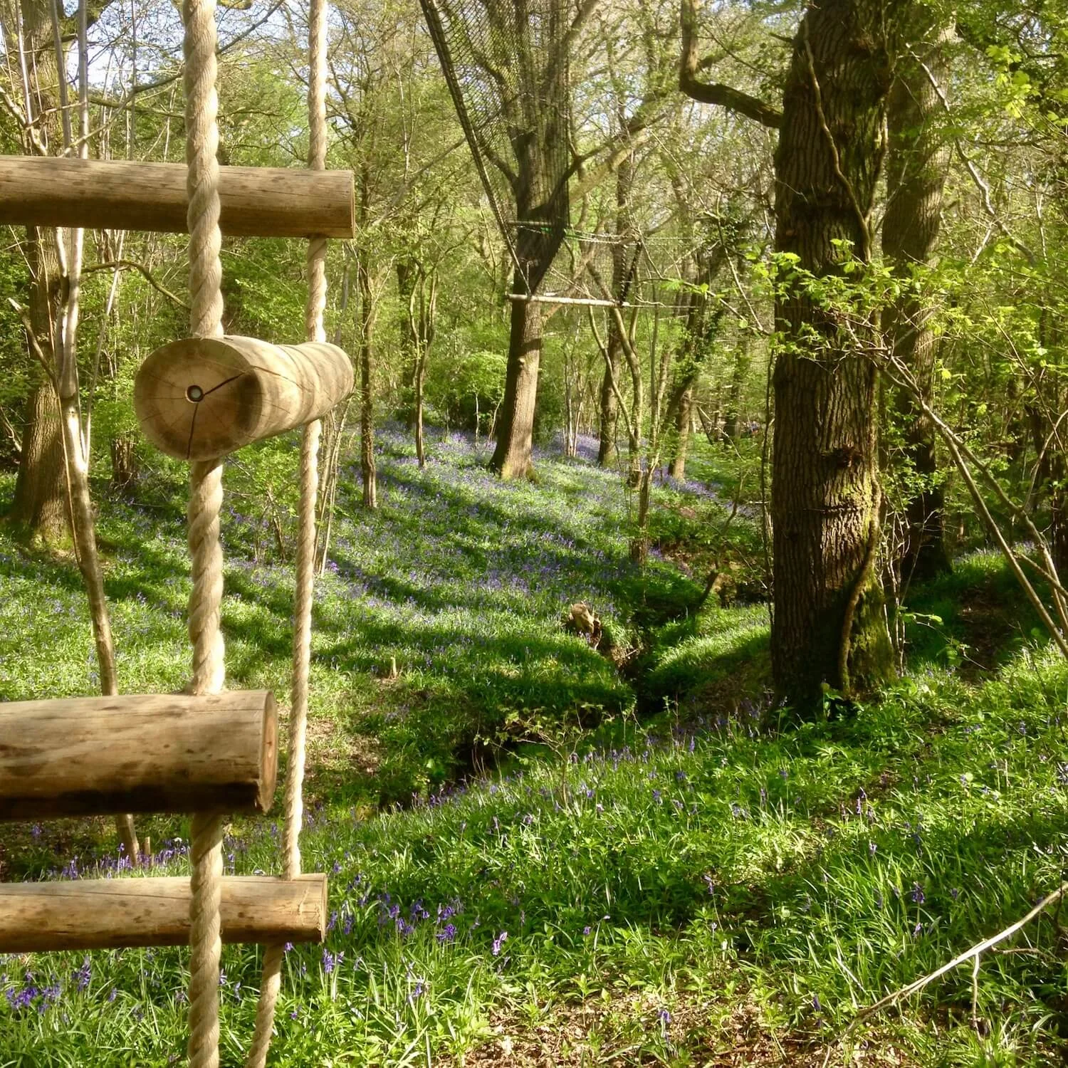 "...woodland 4-sided rope ladder"