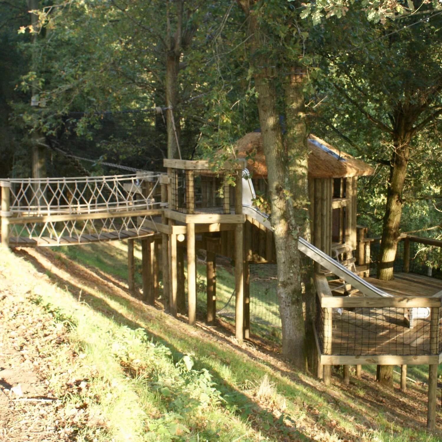 "...long slide between treehouse decks"