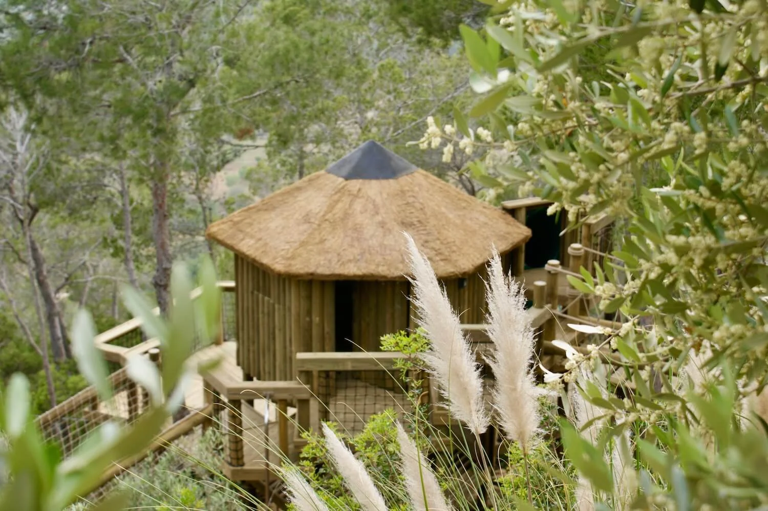 'Living' treehouses