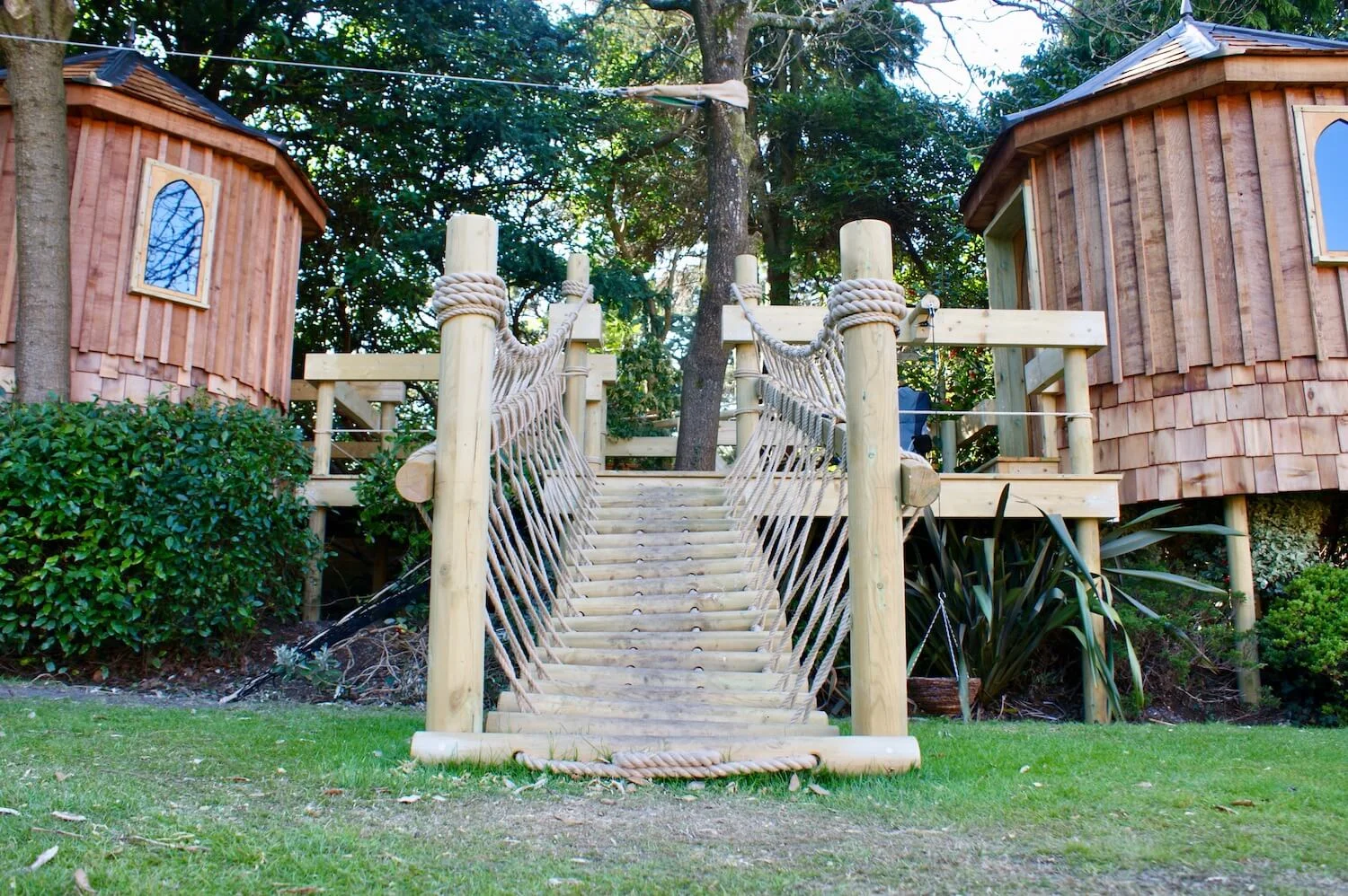 'Living' tree houses