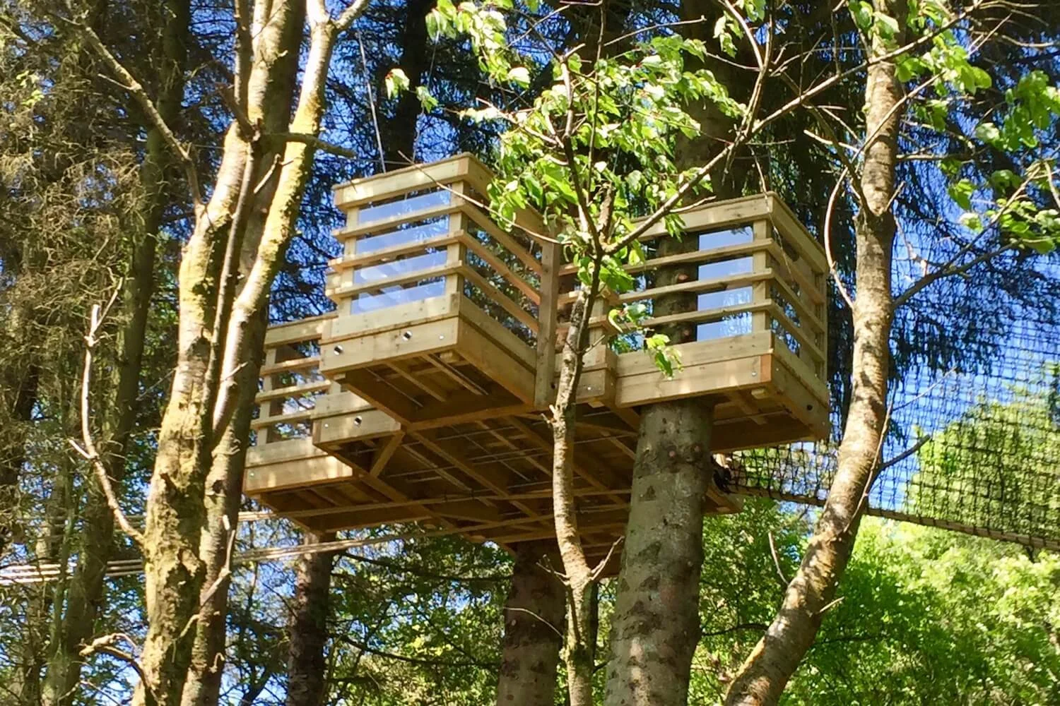 'Tree-Surfing' treehouse