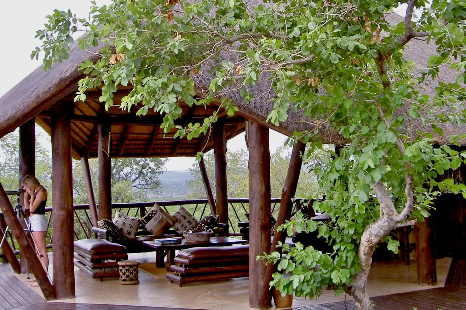 'Resort' treehouses