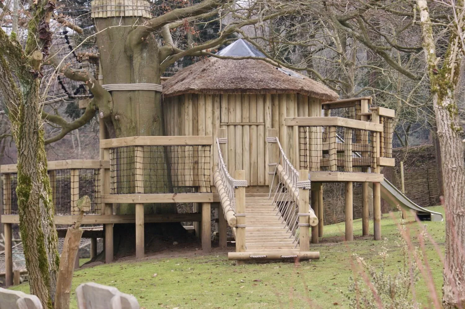 'Fun' tree houses