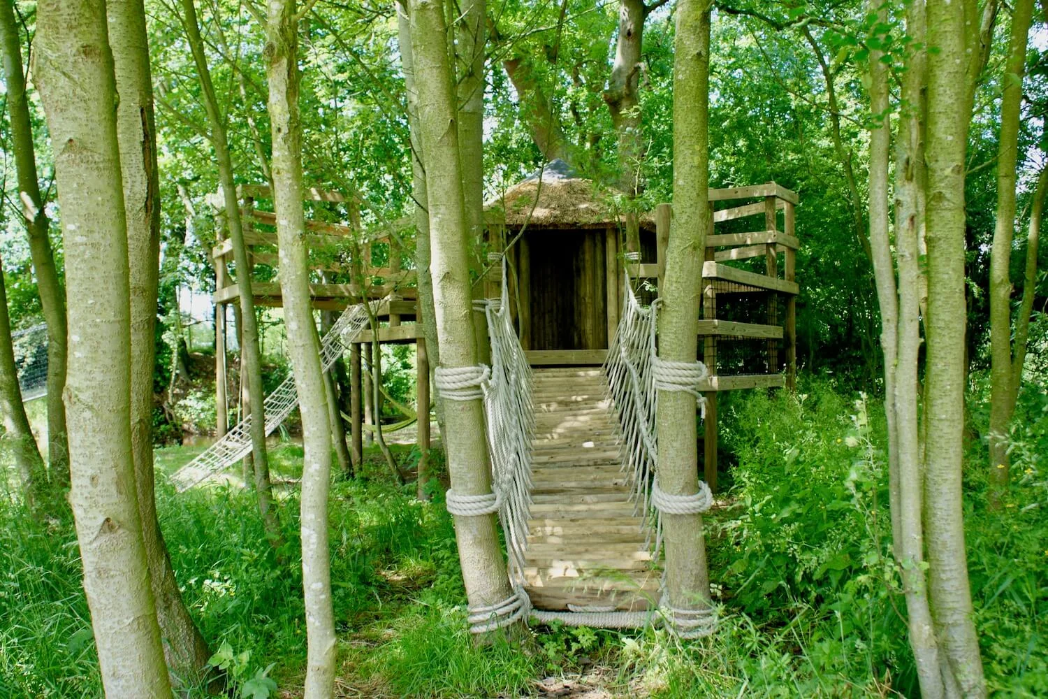 'Fun' treehouses