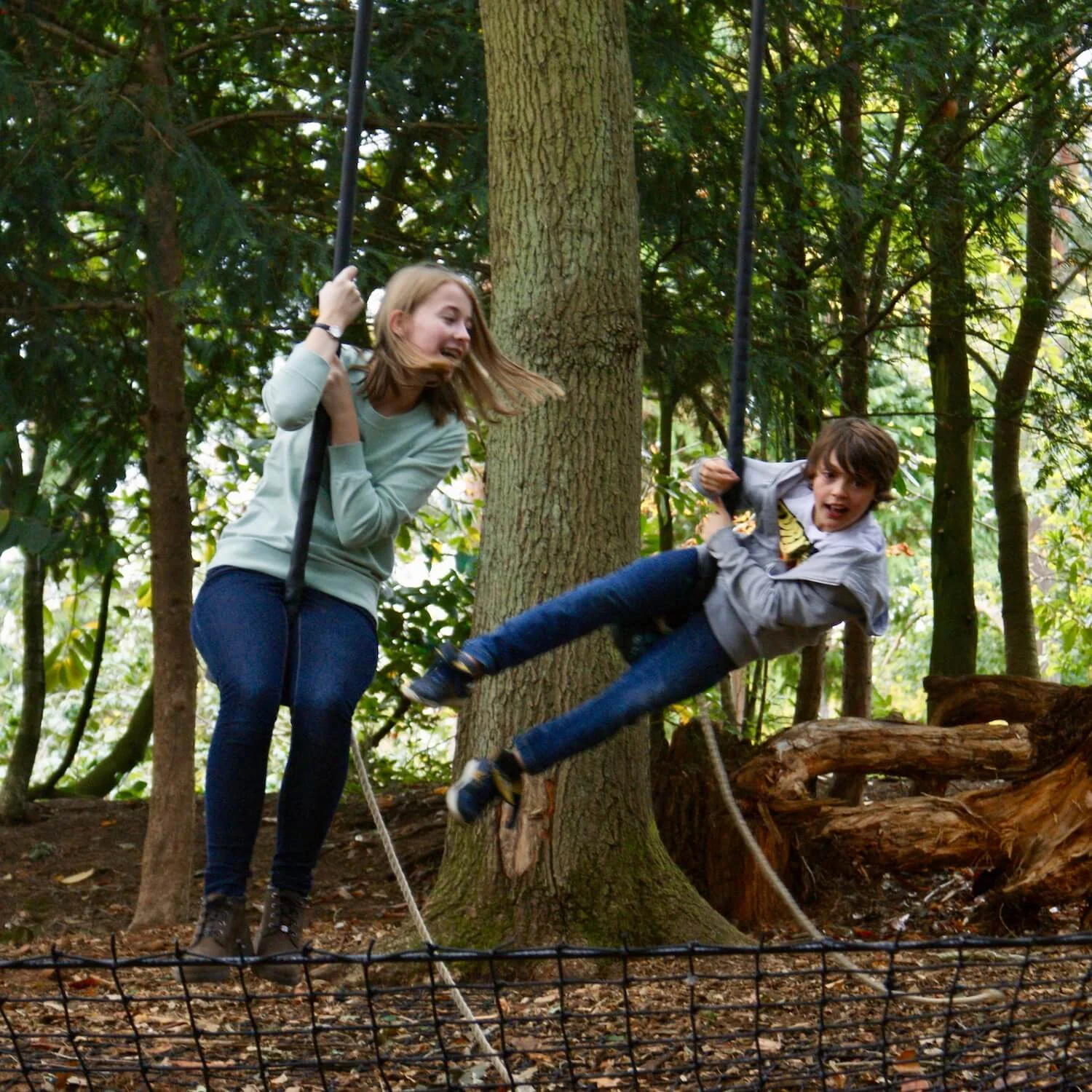 "...double zip wire races"