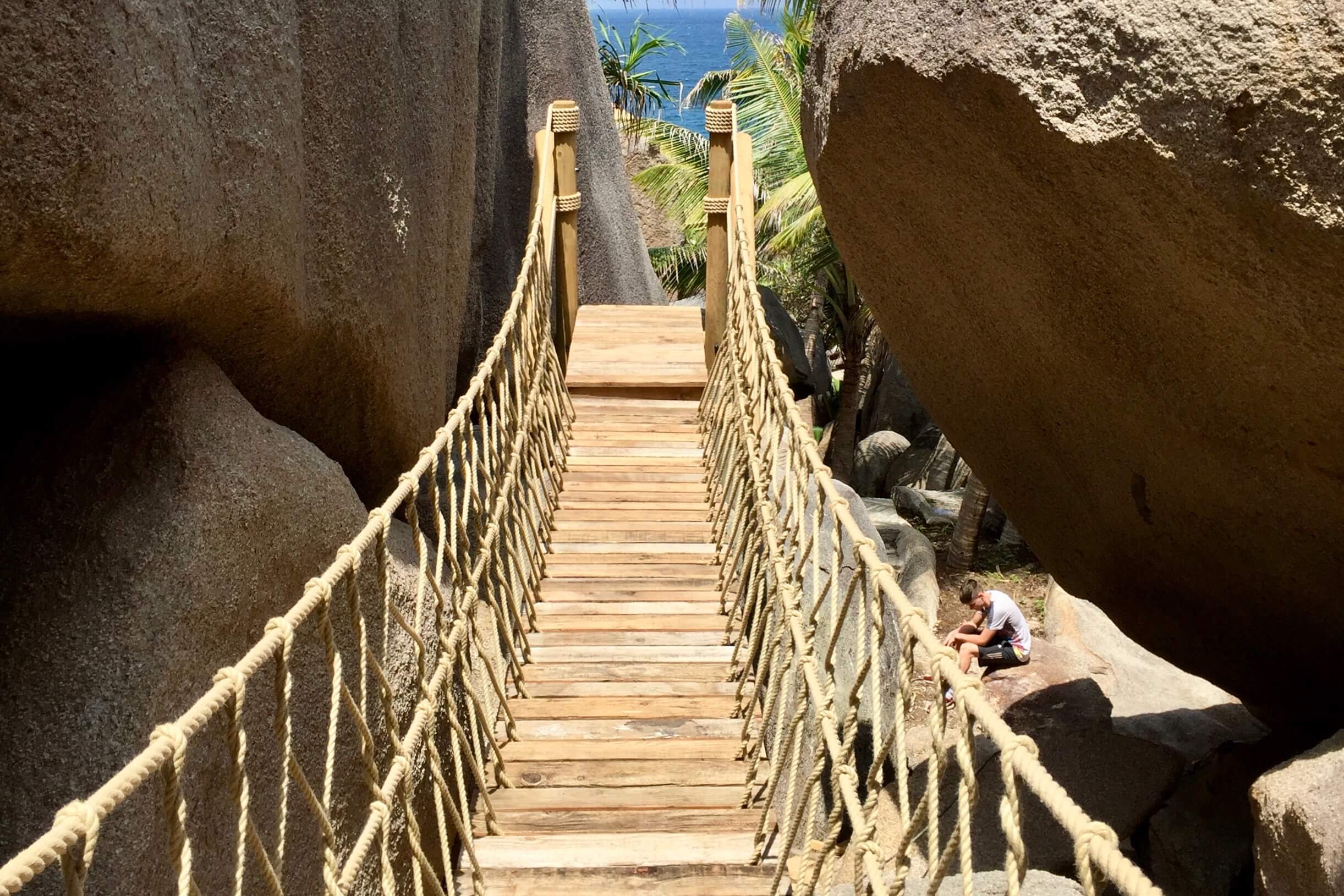 Worldclass Rope Bridges for treehouses, rivers, resorts and adventure parks — Treehouses, Rope