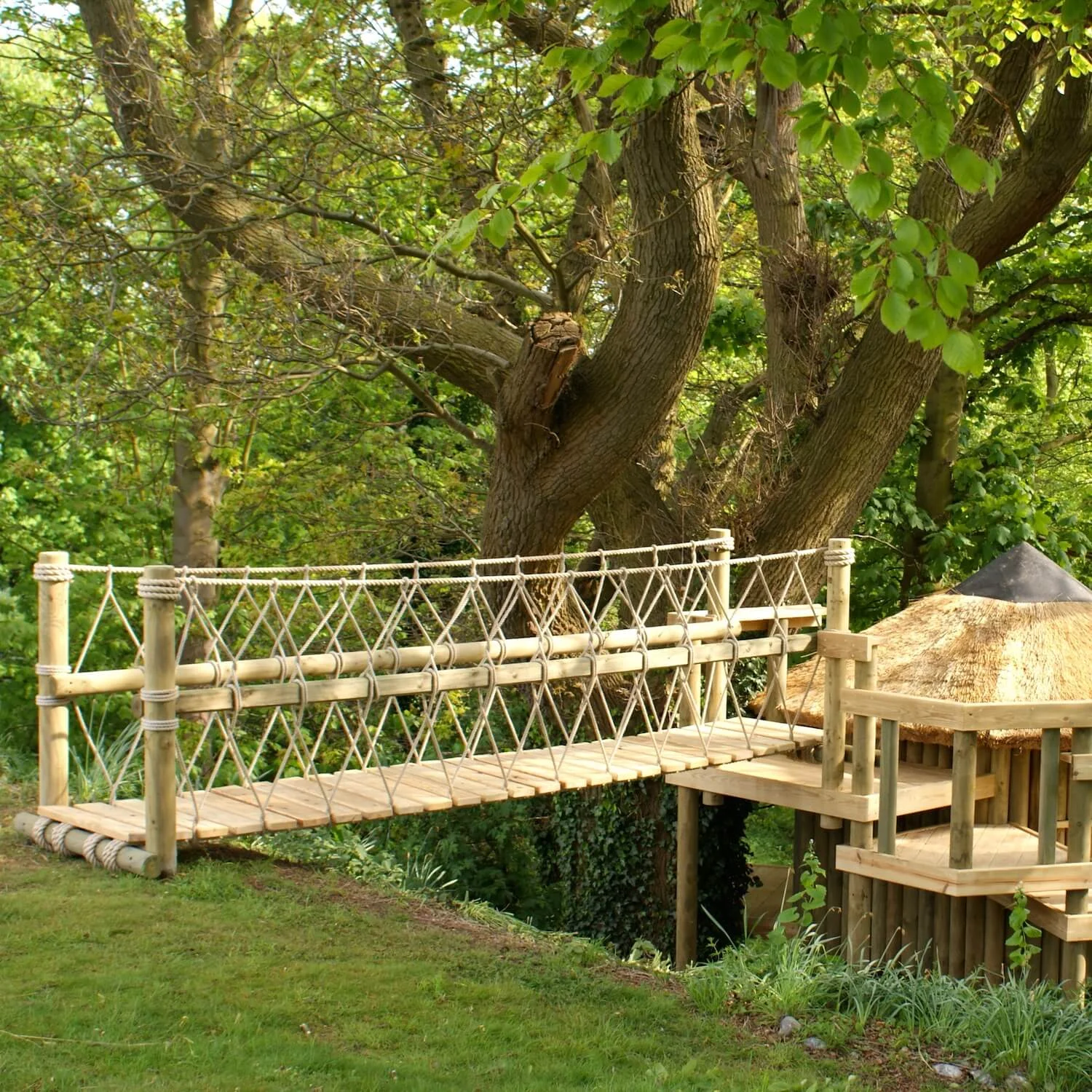 "...rope bridge leading from garden to treehouse"