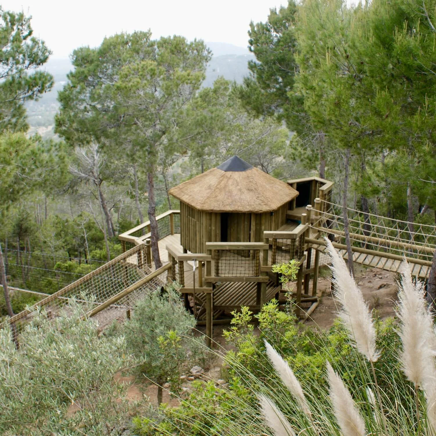 "...Ibiza treehouse and rope bridge entrance"