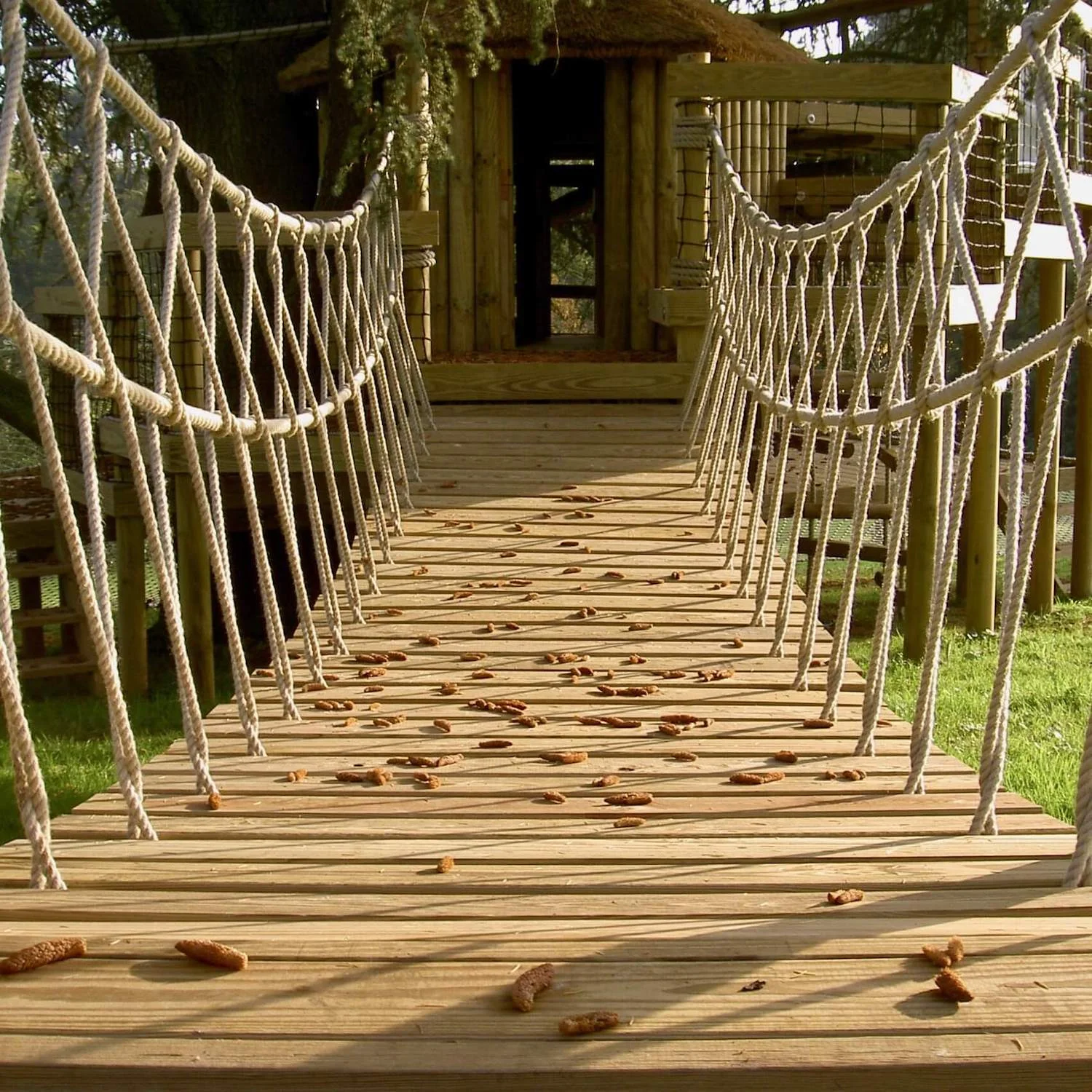 "...rope bridge entrance to treehouse"
