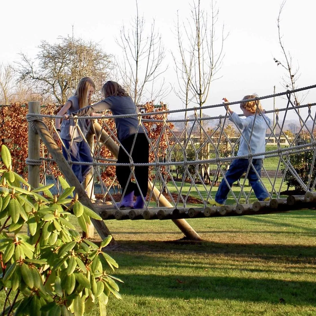 "...children playing on a rope bridge"