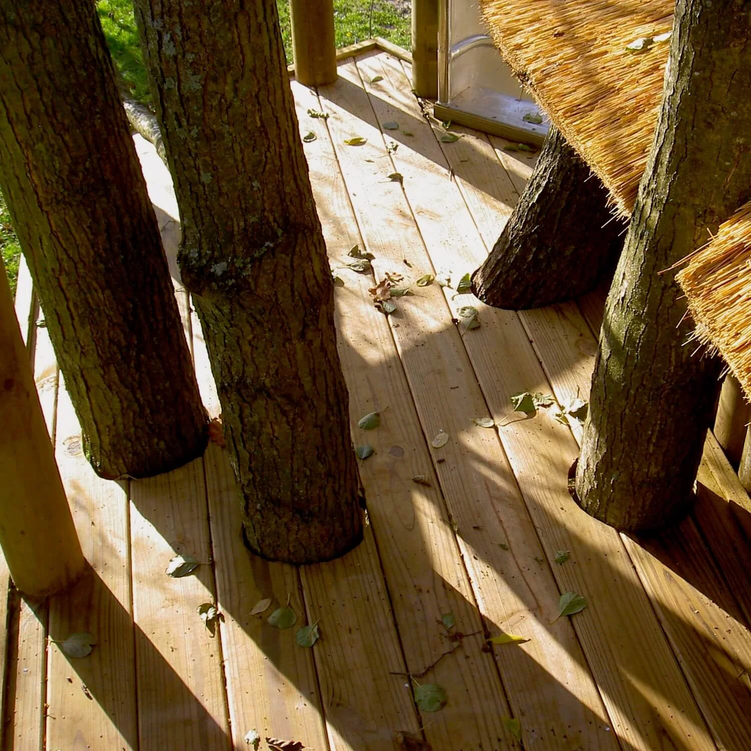 Santa's favourite treehouse... — Treehouses, Rope Bridges, Treetop