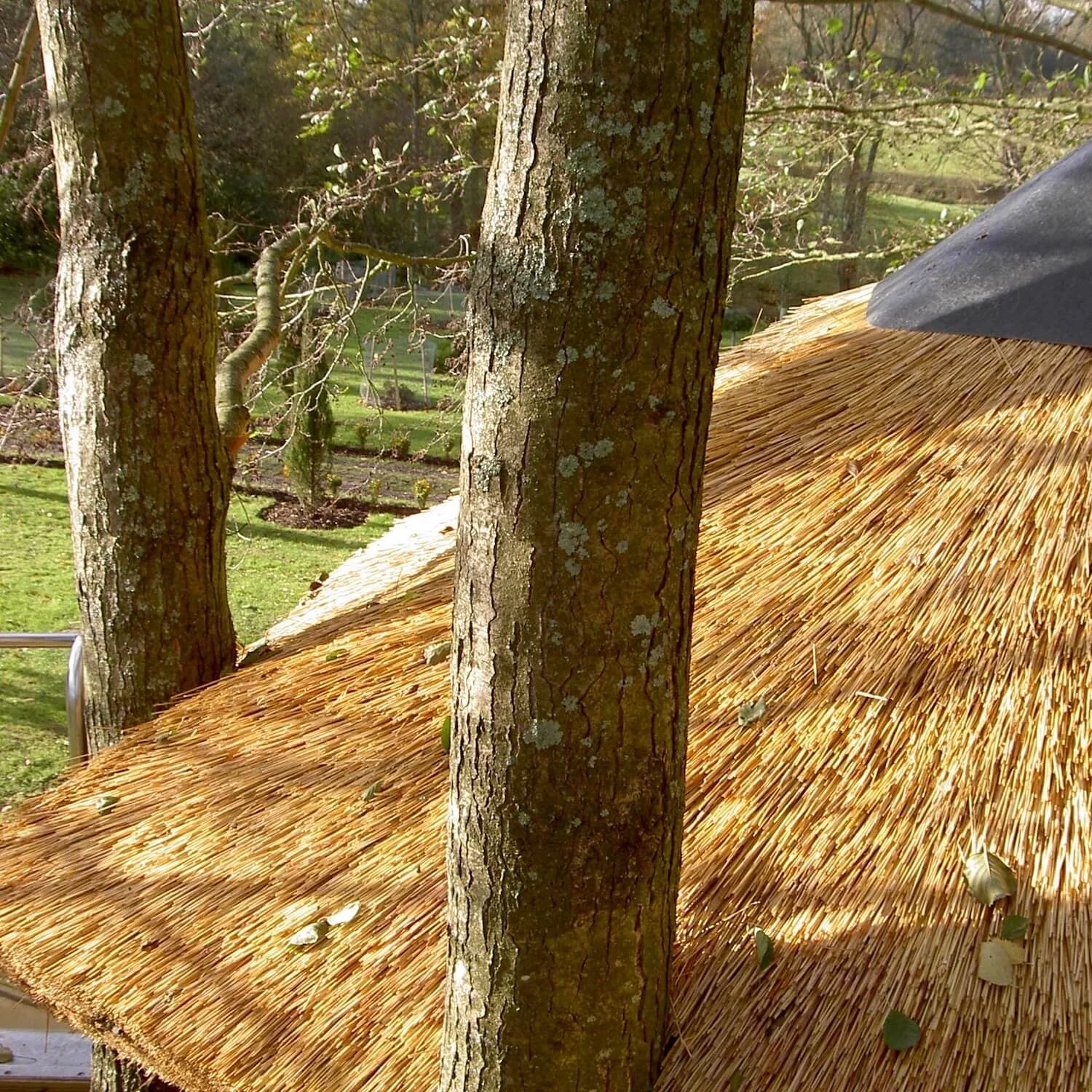 Santa's favourite treehouse... — Treehouses, Rope Bridges, Treetop