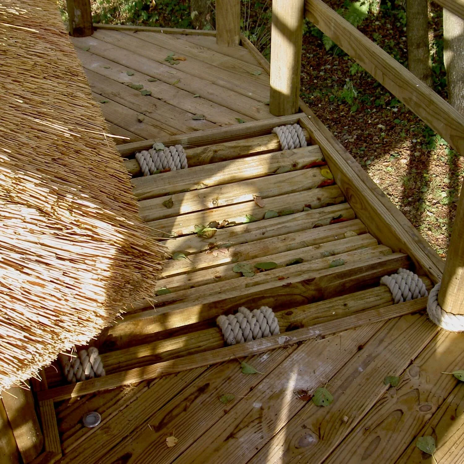 Santa's favourite treehouse... — Treehouses, Rope Bridges, Treetop