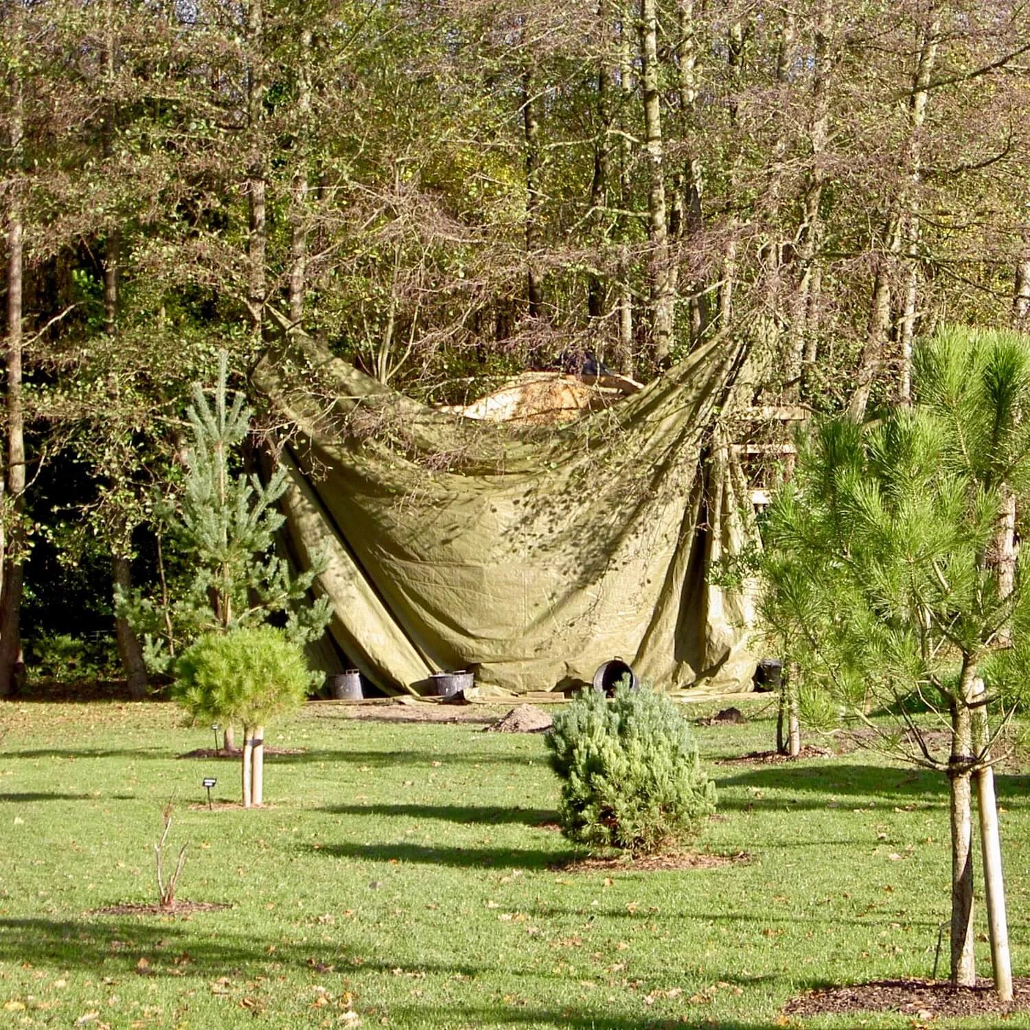 santa-claus-favourite-treehouse-wrapped.jpeg
