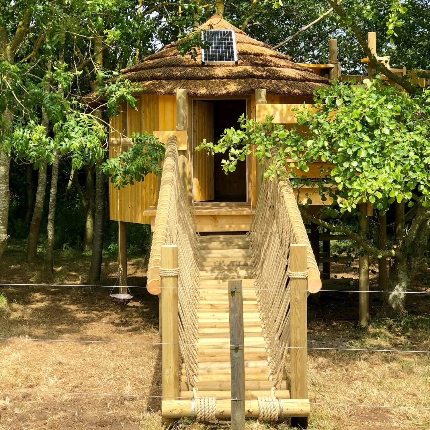 Woodland adventure treehouse — Treehouses, Rope Bridges, Treetop