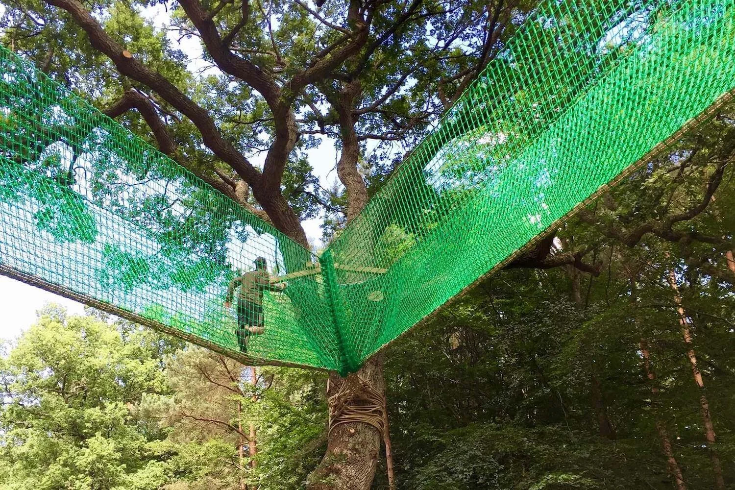 Groombridge Place Treetop Walkway Kent — Treehouses, Rope Bridges