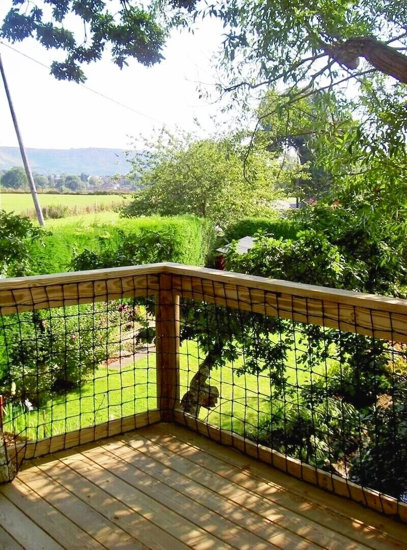 shade tree cool living canopies on Elevated Oak Tree Platform Treehouses Rope Bridges Treetop Walkways And Nest Swings