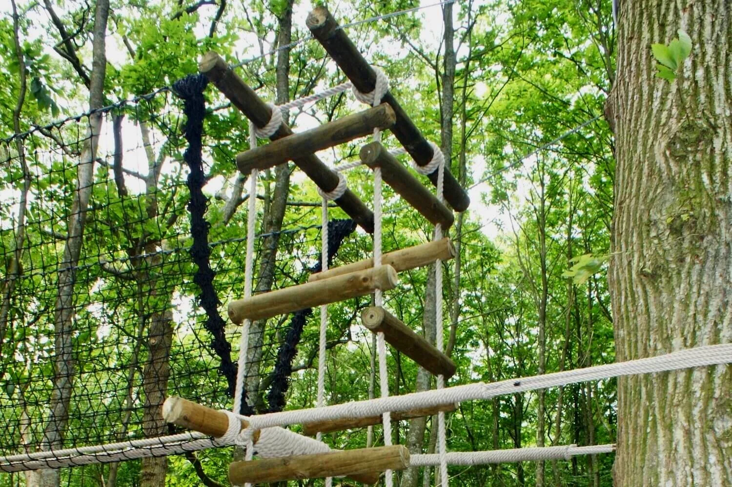 Marley Wood Adventure Treehouse — Treehouses, Rope Bridges, Treetop  Walkways and Nest Swings