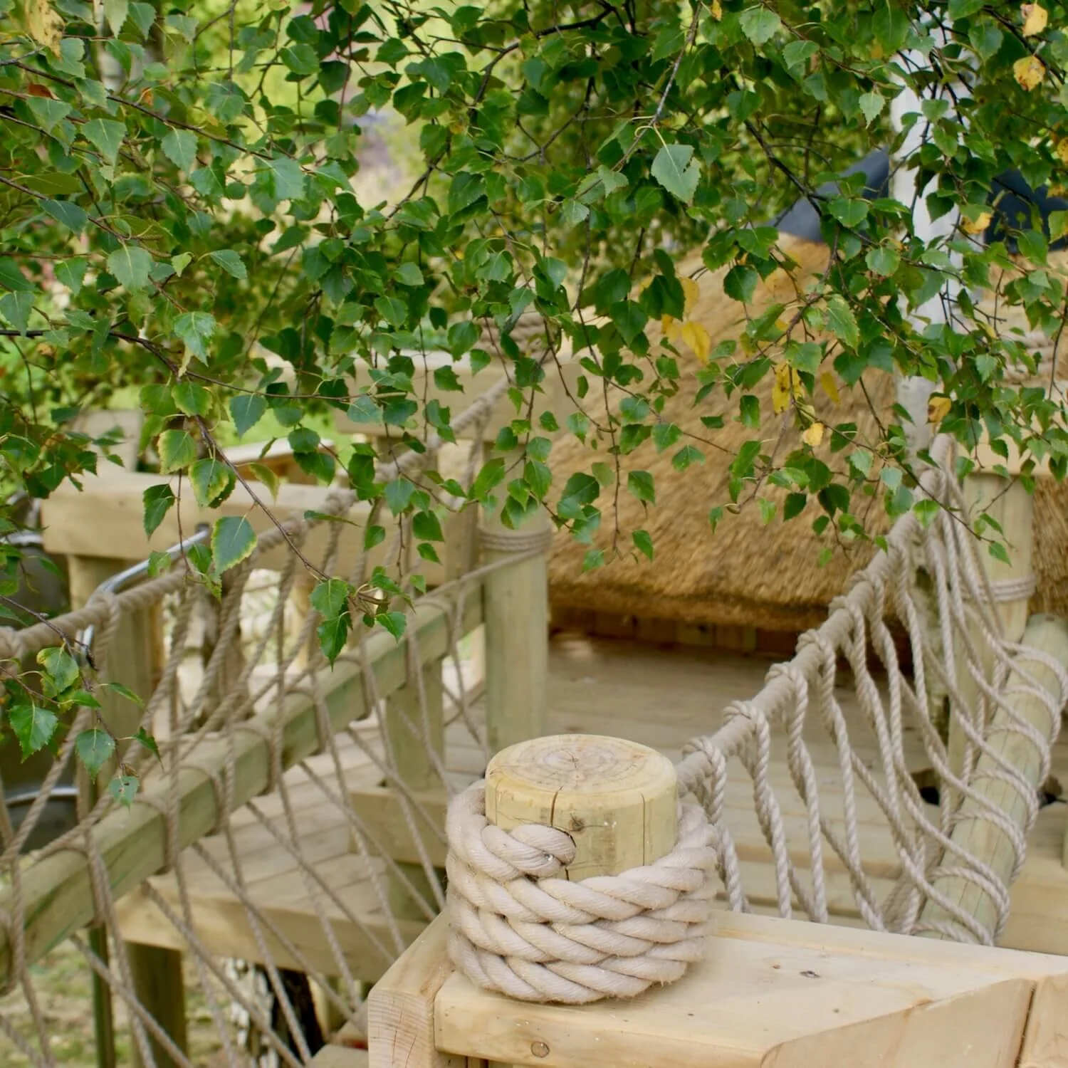 "A magical place for our clients grandchildren to play" ??? Treehouses