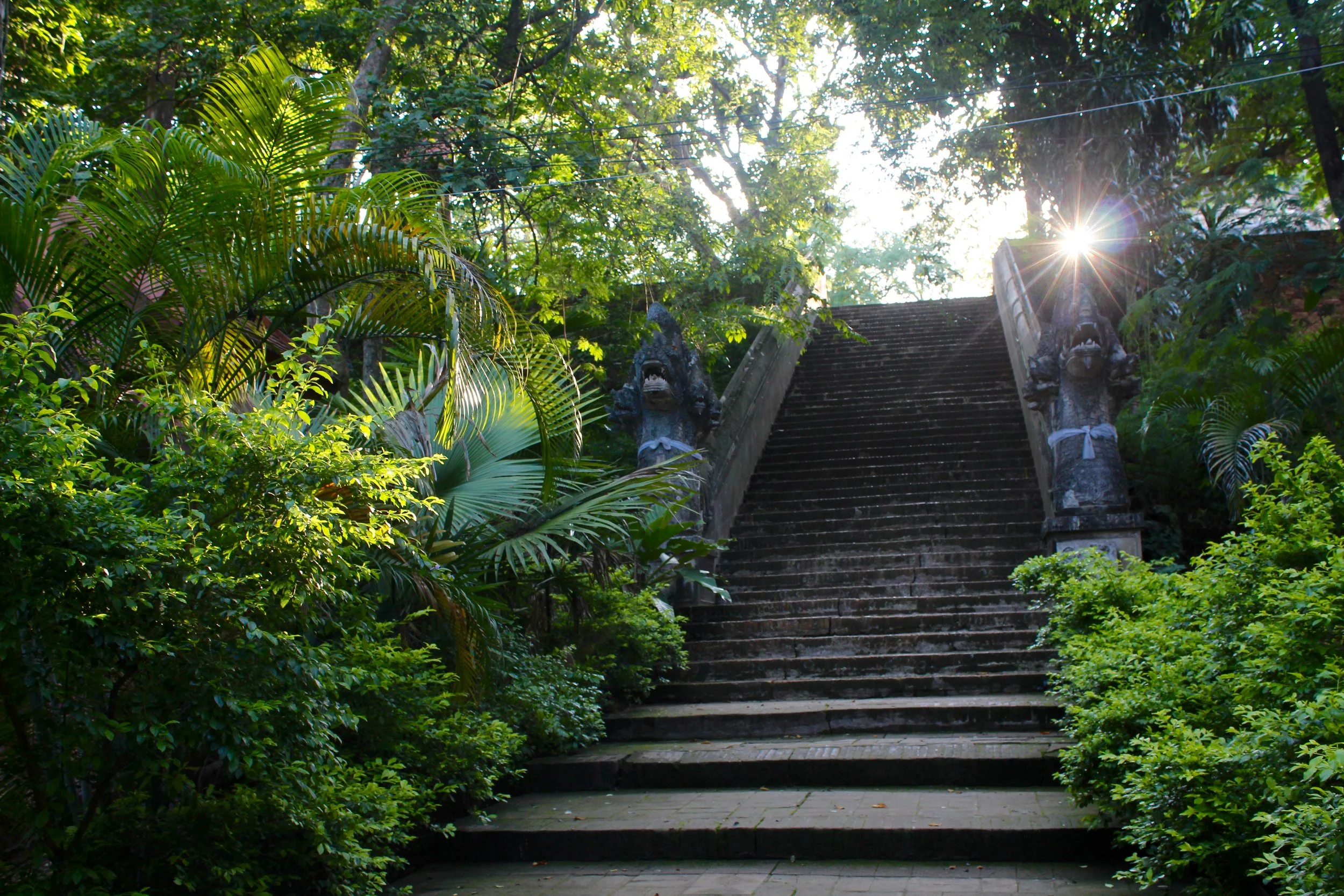 Wholesome Travel Guide To: Chiang Mai