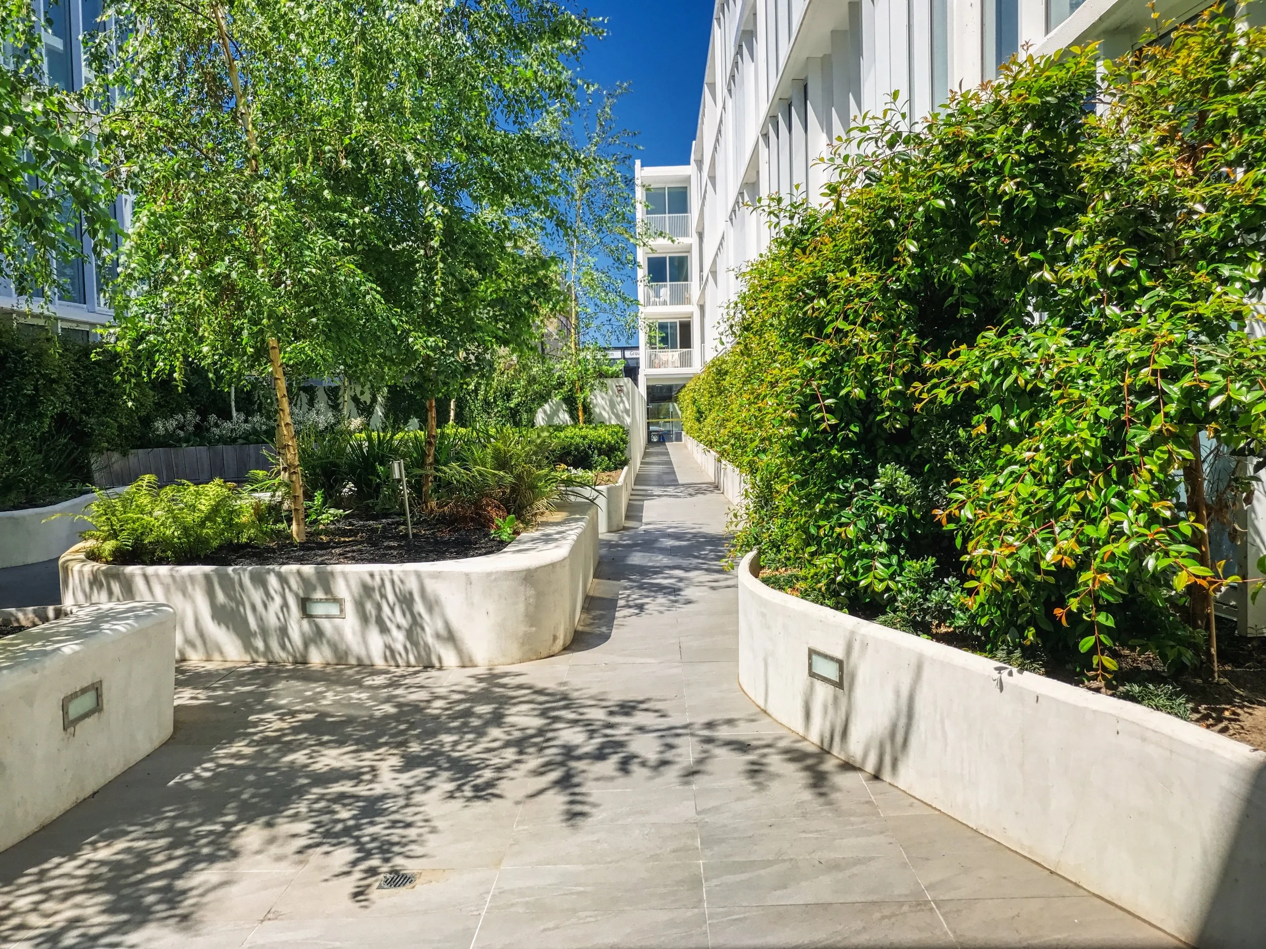 Garden 2 - Bay St.jpeg