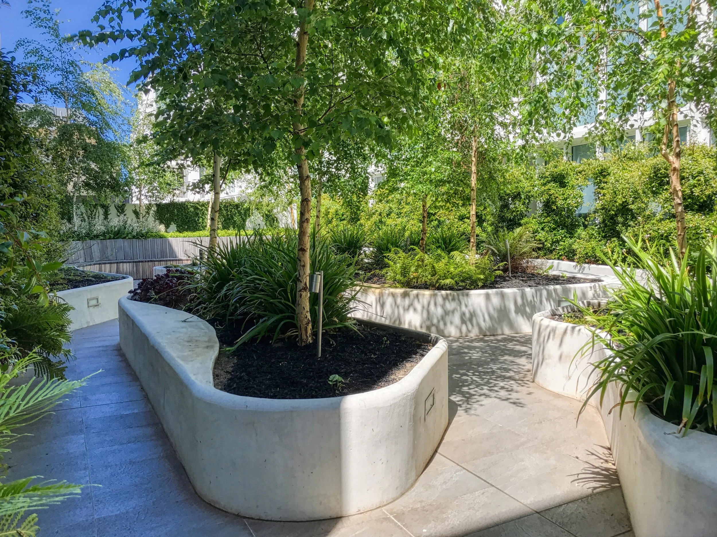 Garden - Bay St.jpeg