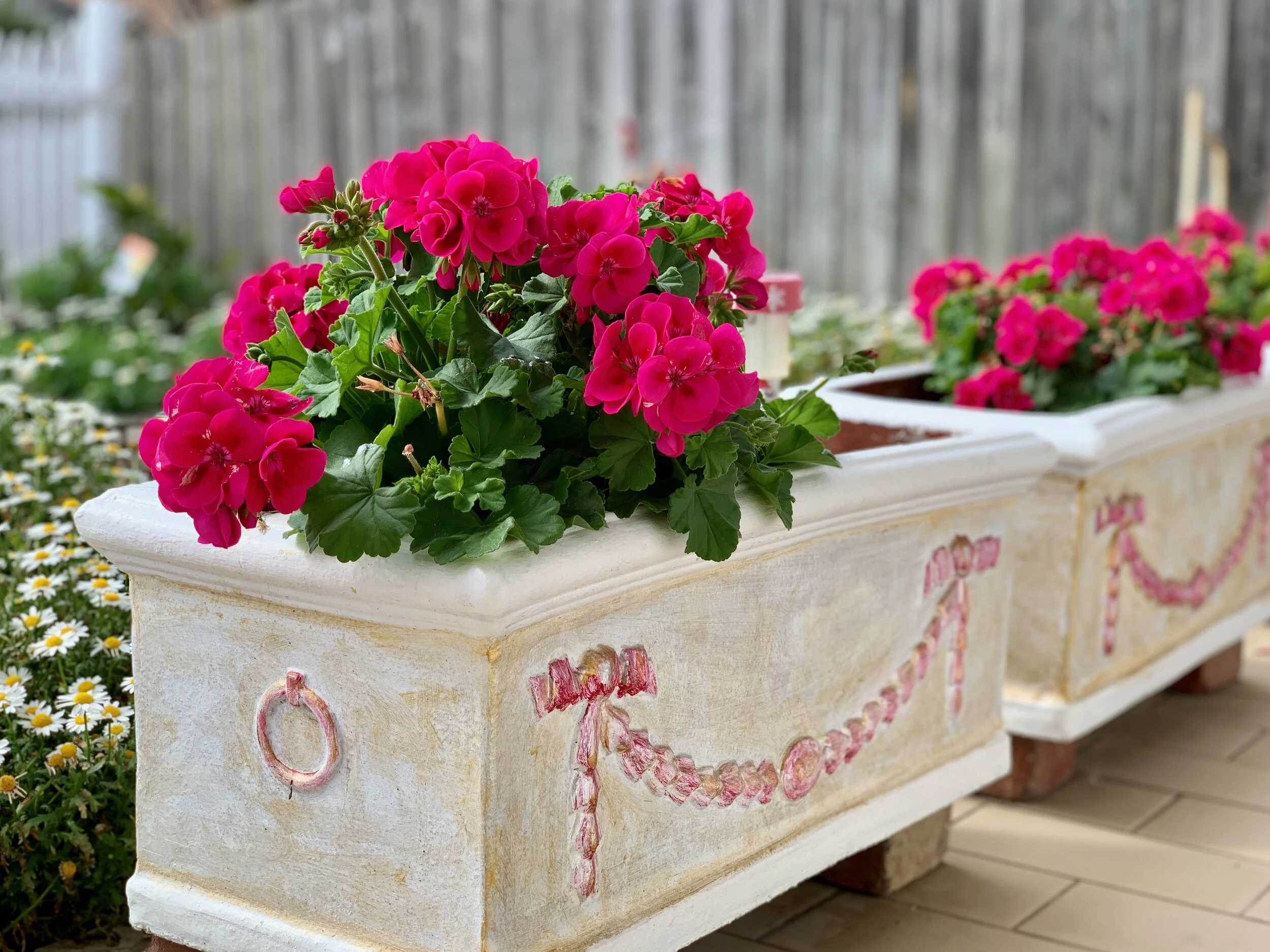 walshflowers - 1 (1).jpeg