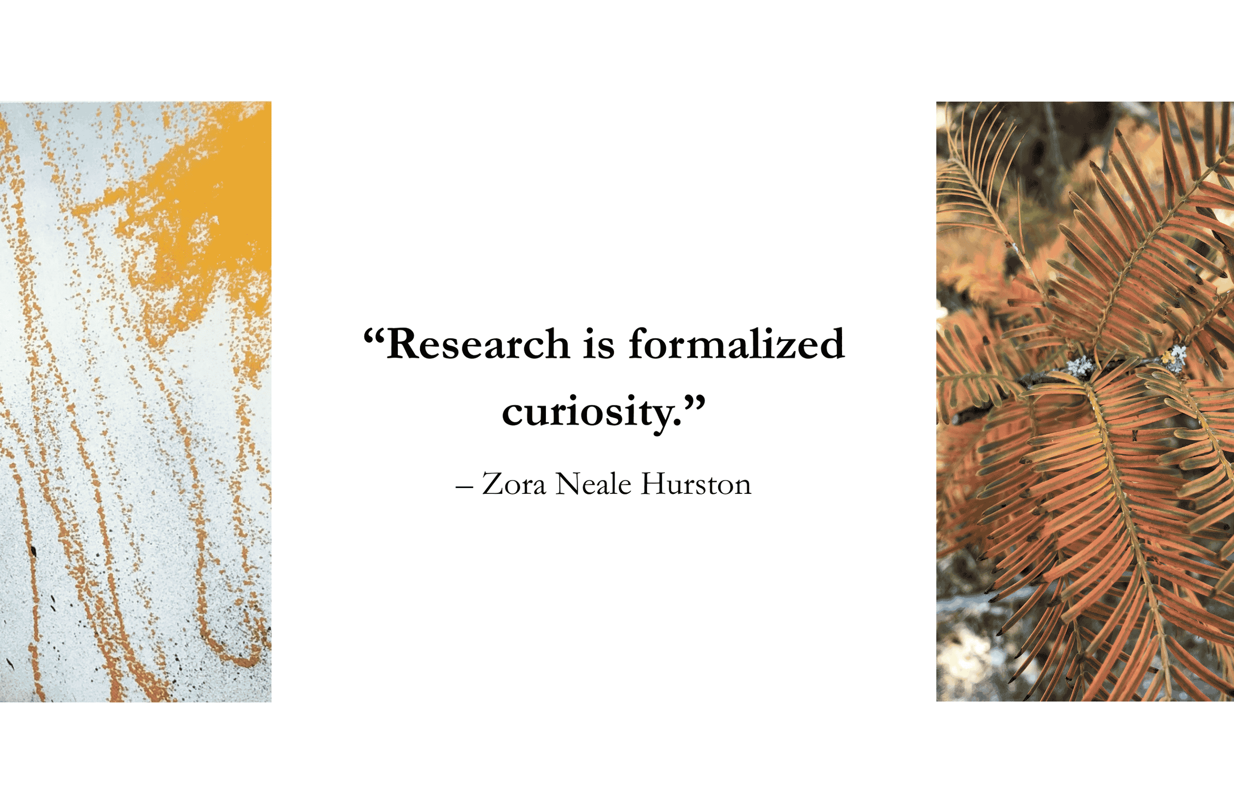 Research interests 2.png