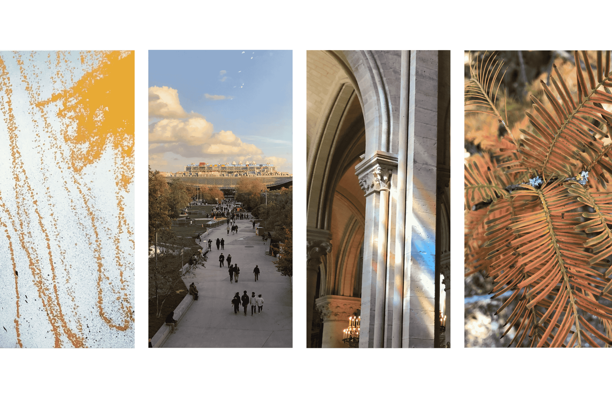 Header polyptych 3 -resized properly.png