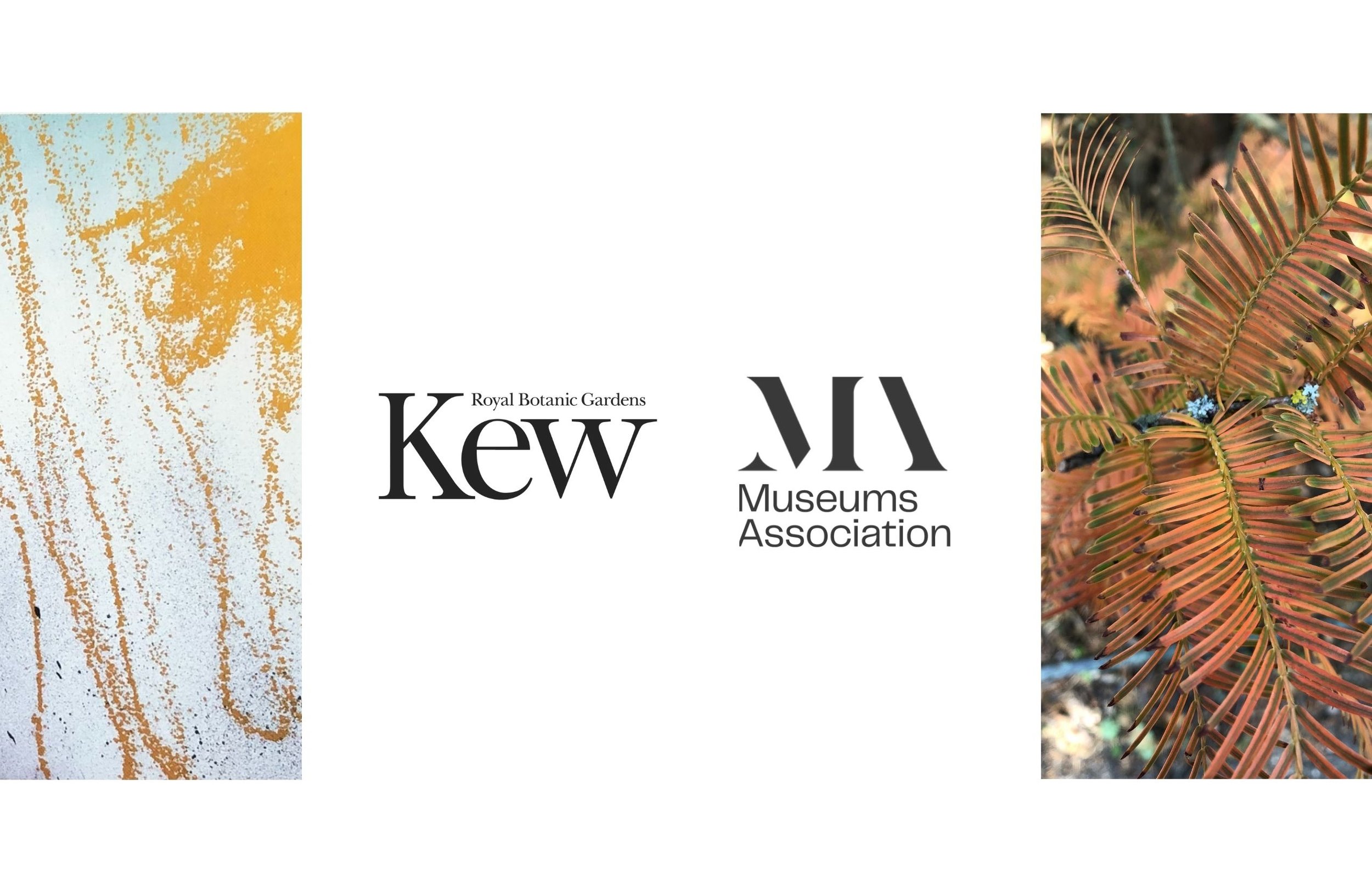 MA and Kew header .jpg