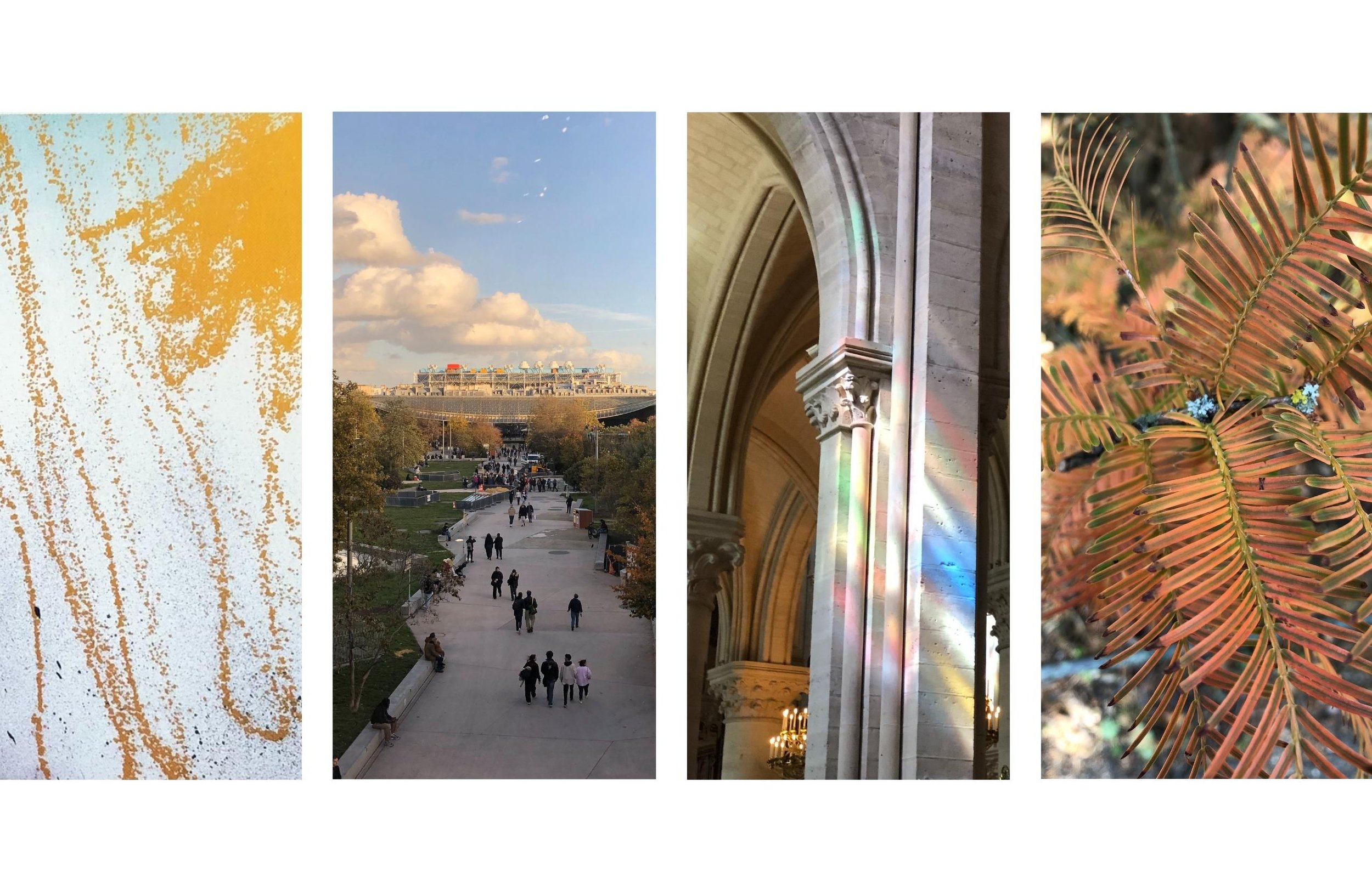 Main page header photo.jpg